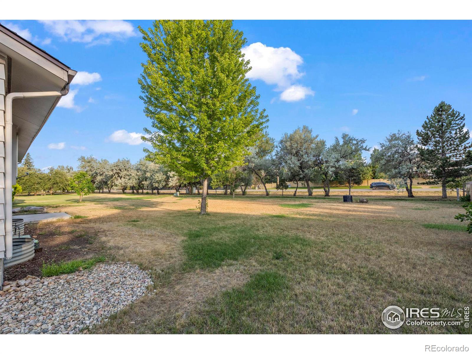 MLS Image #24 for 4223  peach way,boulder, Colorado