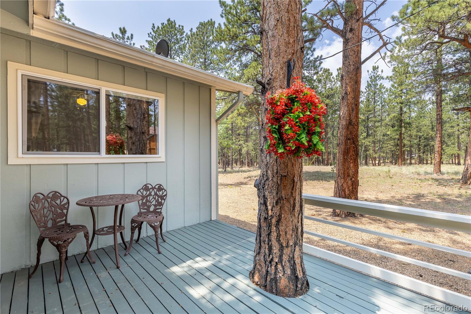 MLS Image #12 for 963  vigilante avenue,bailey, Colorado