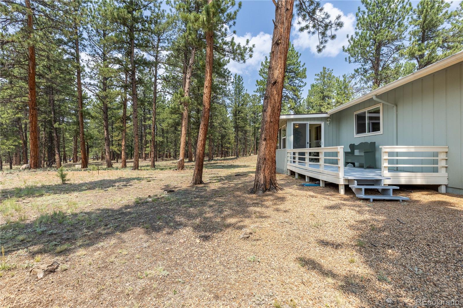 MLS Image #38 for 963  vigilante avenue,bailey, Colorado