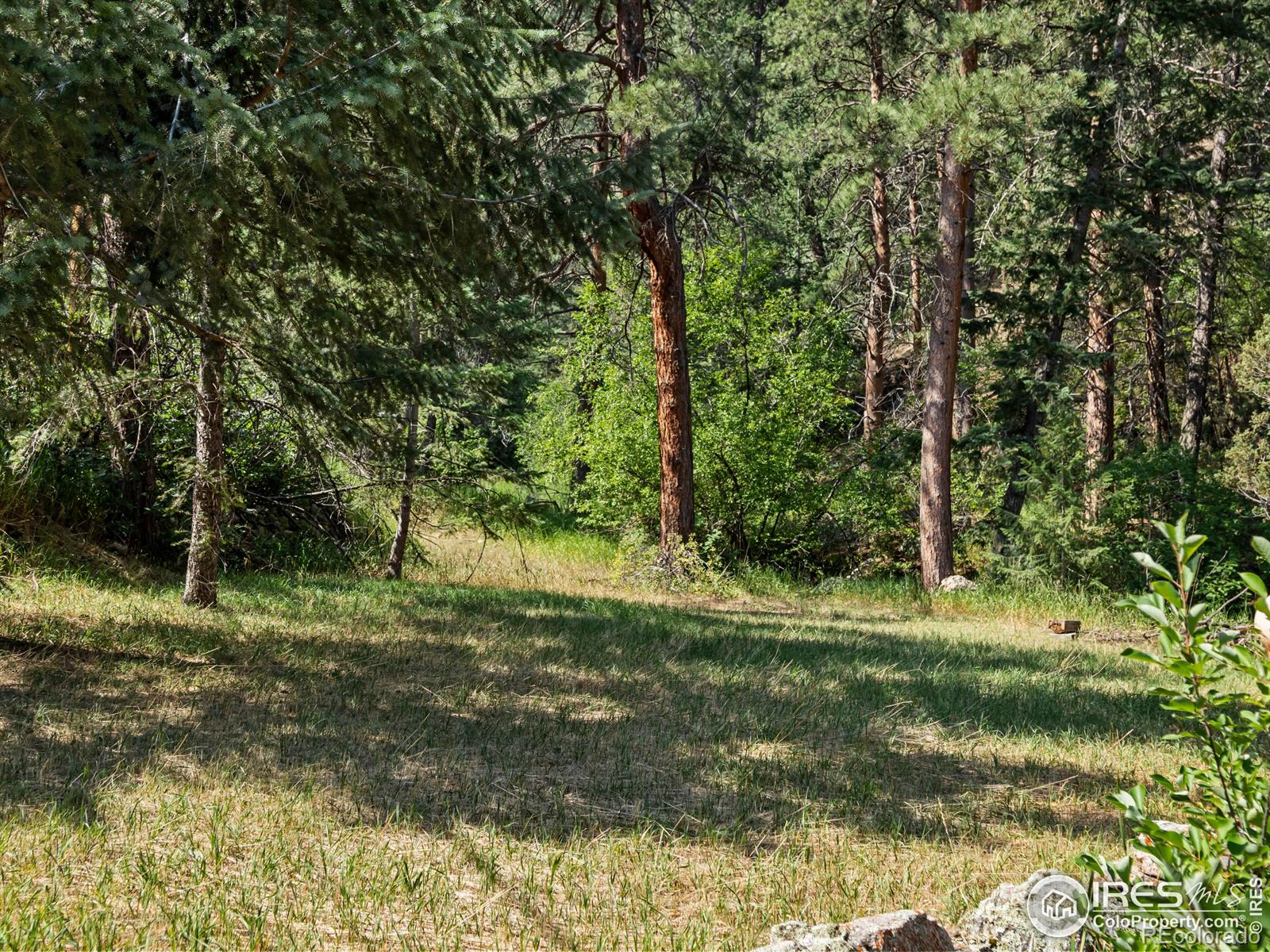 MLS Image #16 for 167  waltonia road,drake, Colorado