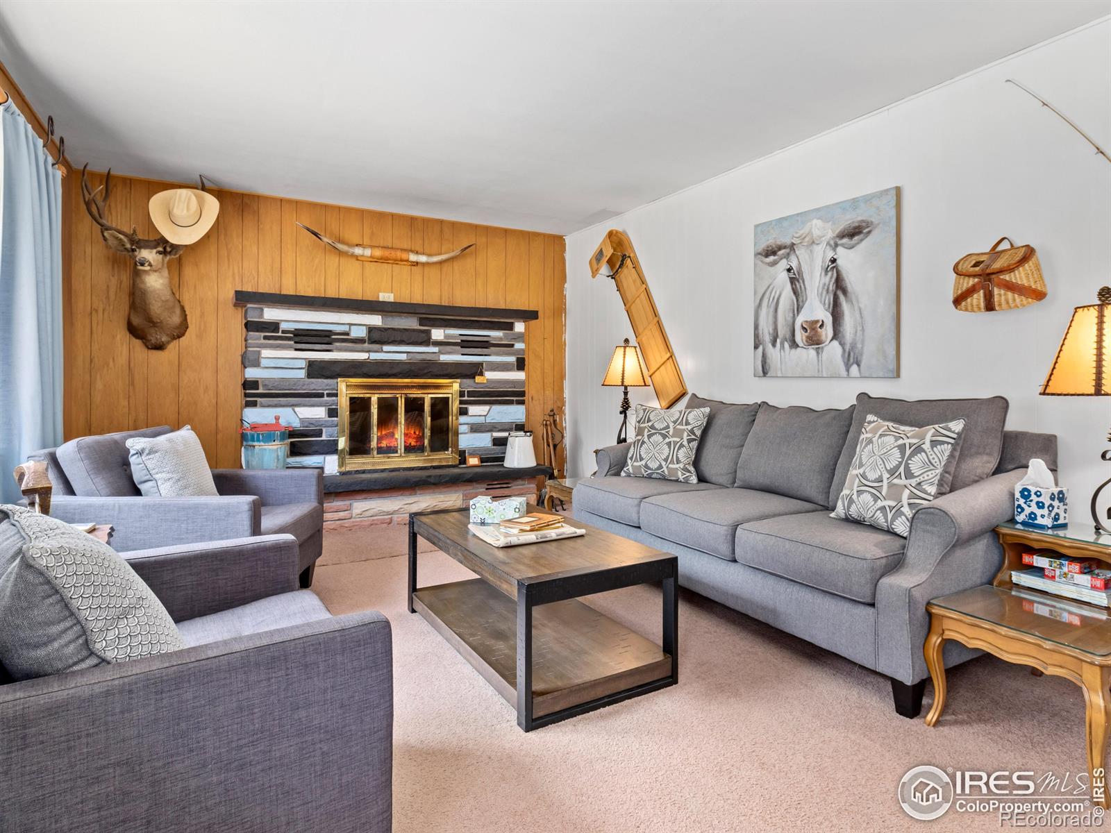 MLS Image #19 for 167  waltonia road,drake, Colorado