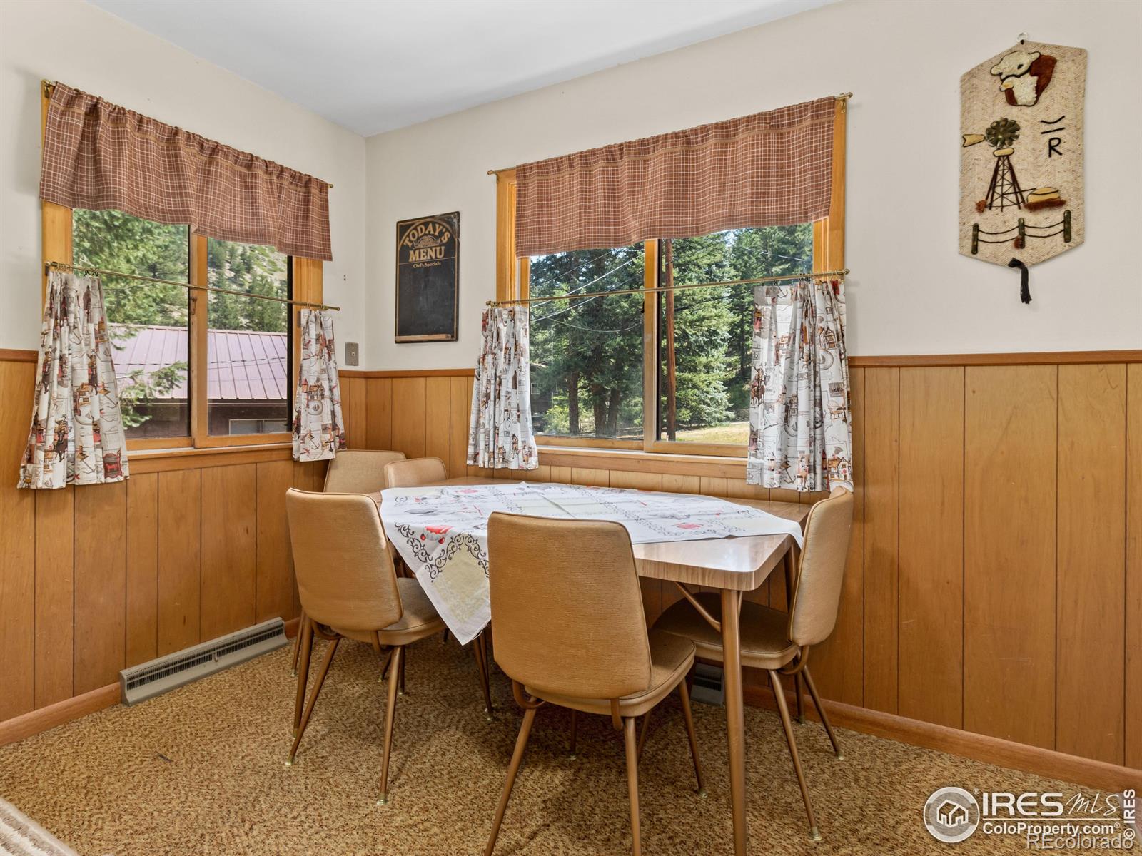 MLS Image #22 for 167  waltonia road,drake, Colorado