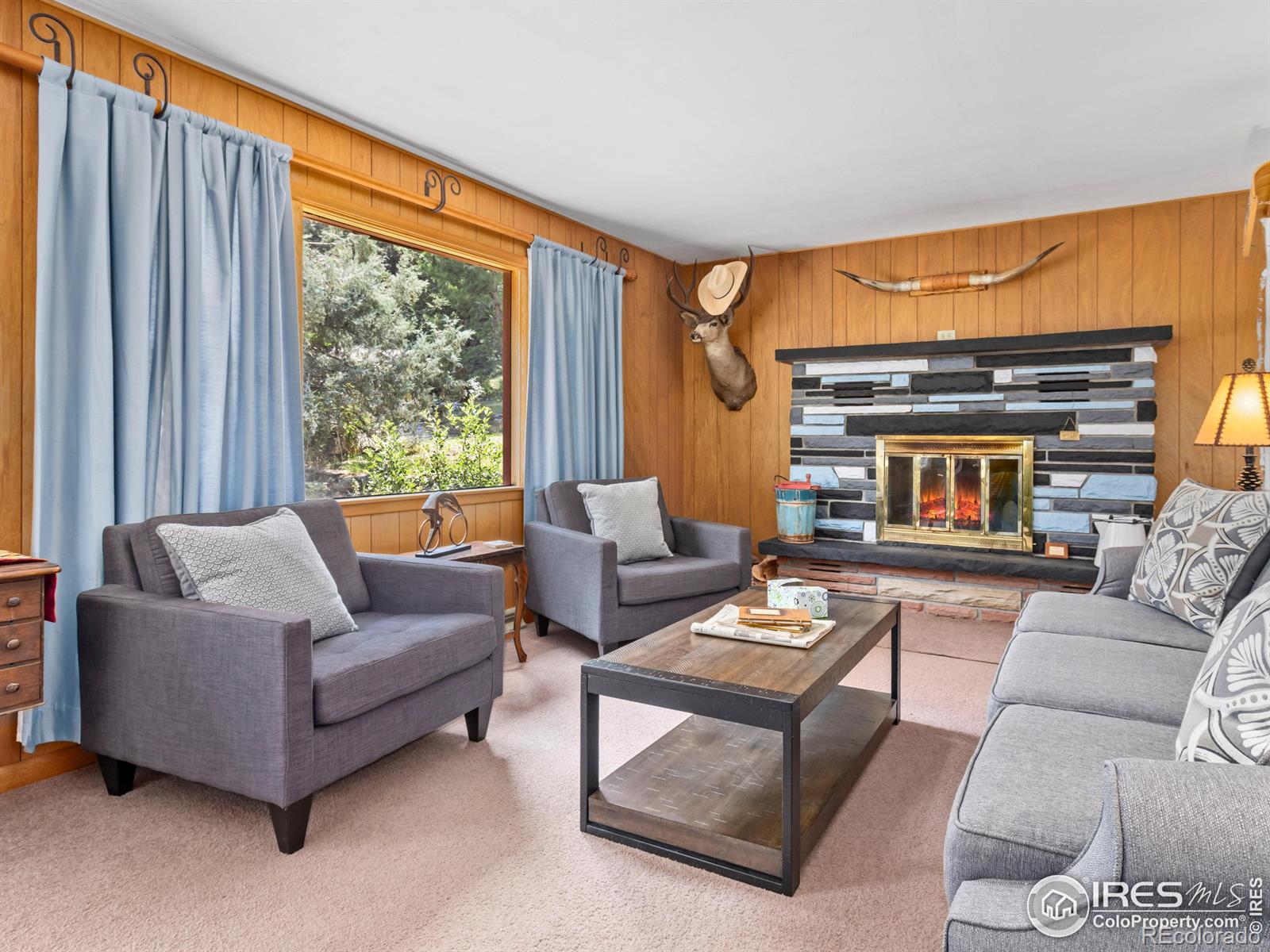 MLS Image #3 for 167  waltonia road,drake, Colorado