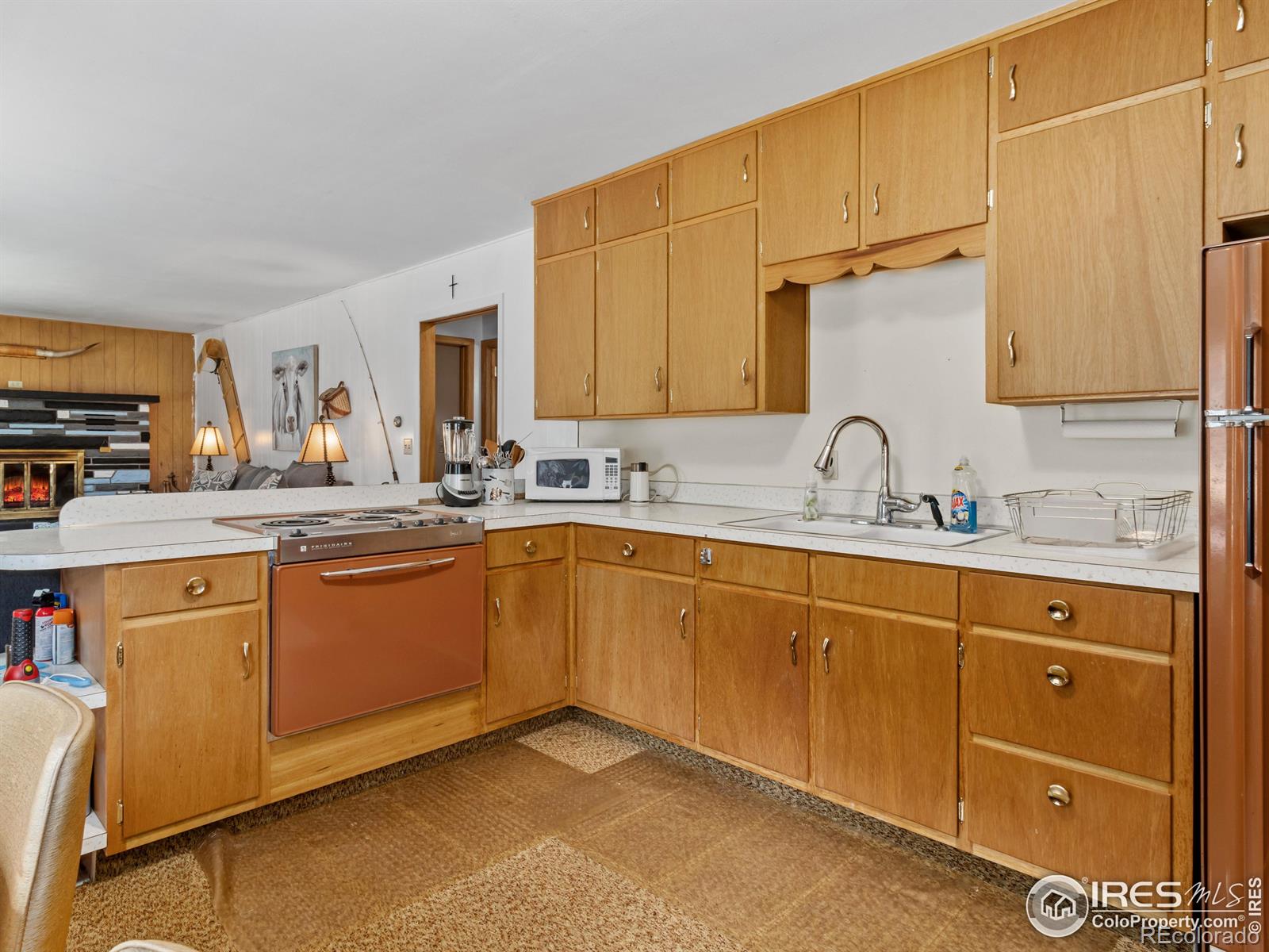 MLS Image #5 for 167  waltonia road,drake, Colorado