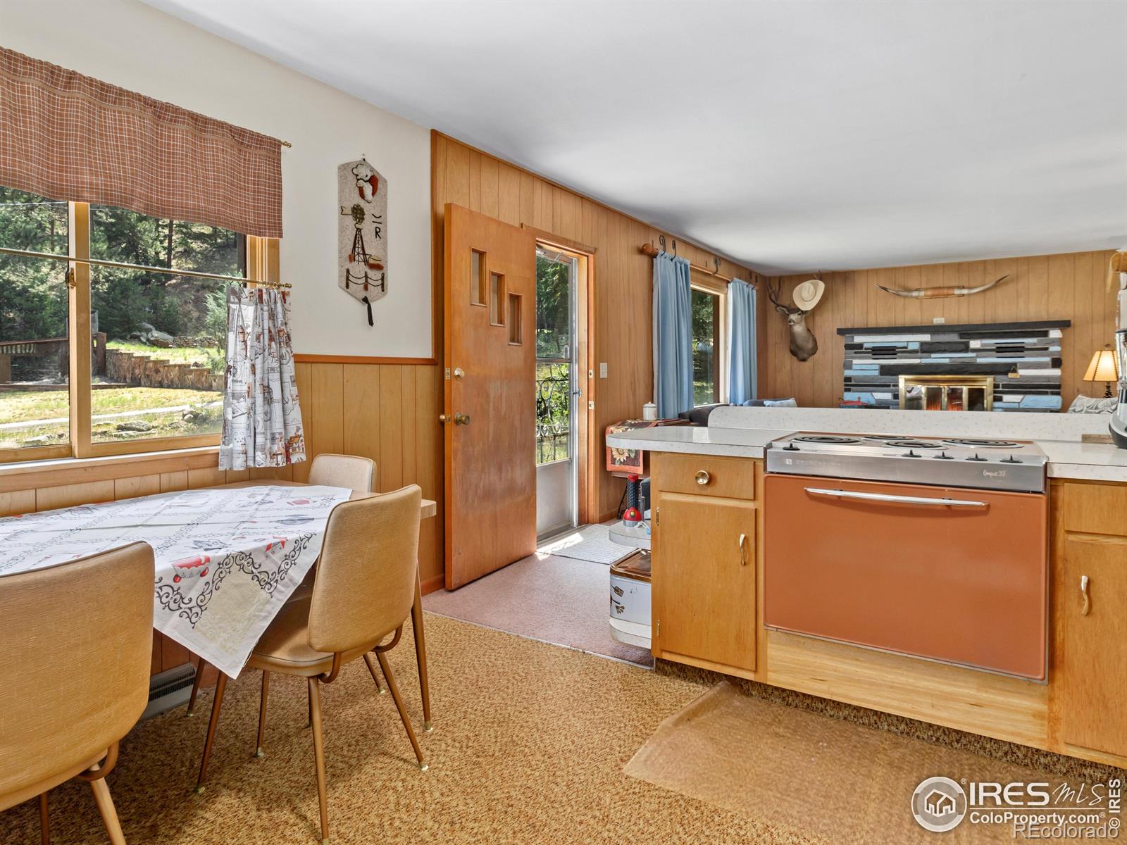 MLS Image #9 for 167  waltonia road,drake, Colorado