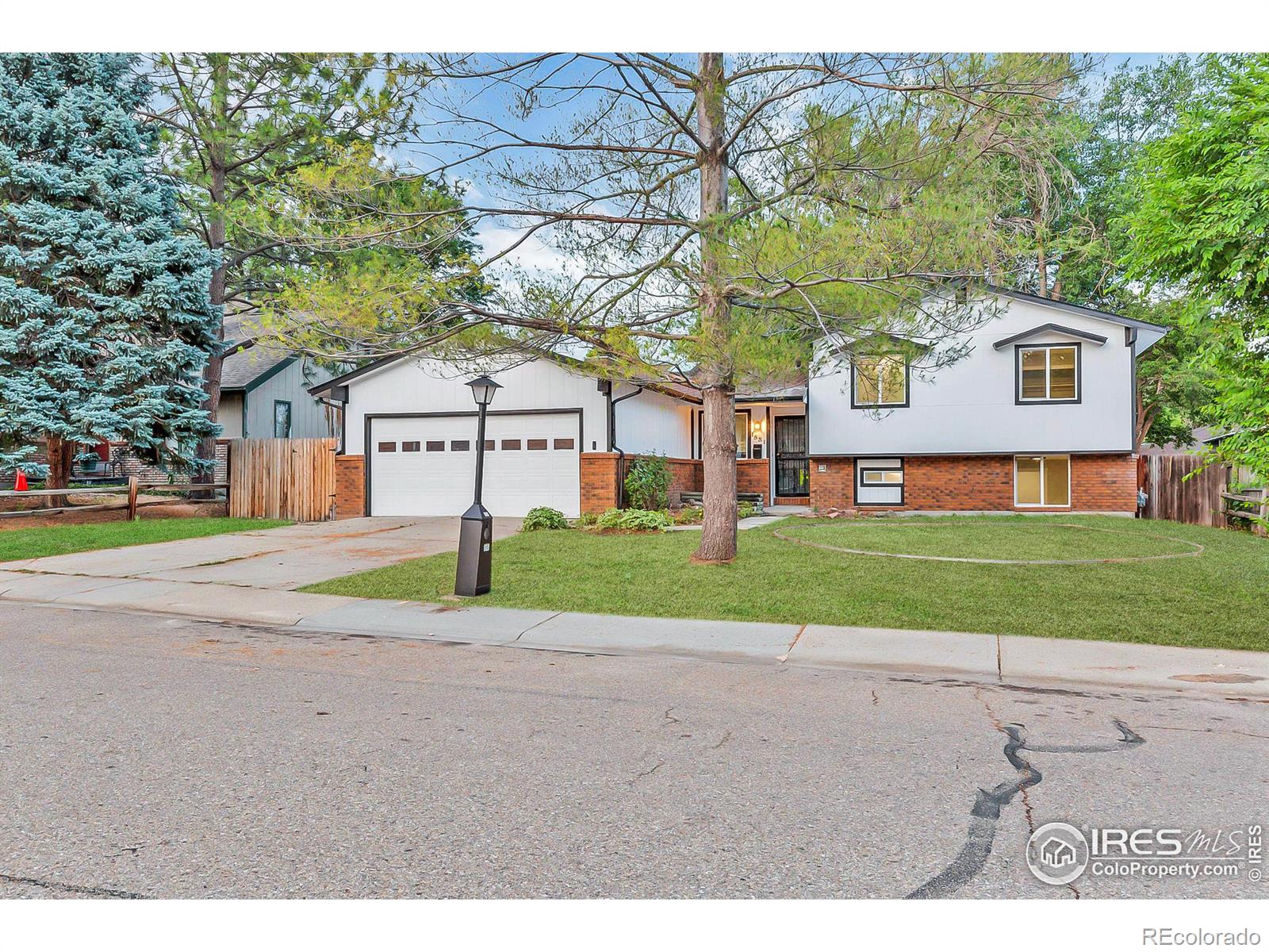 MLS Image #0 for 1531  denison circle,longmont, Colorado