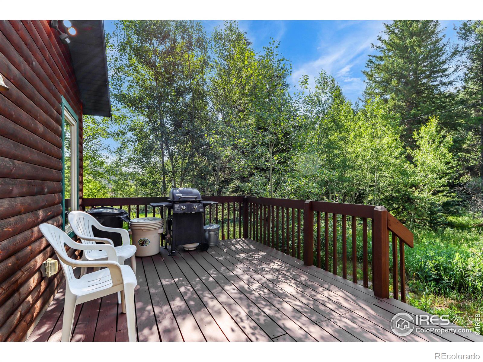 MLS Image #20 for 454  highway 7 business ,allenspark, Colorado
