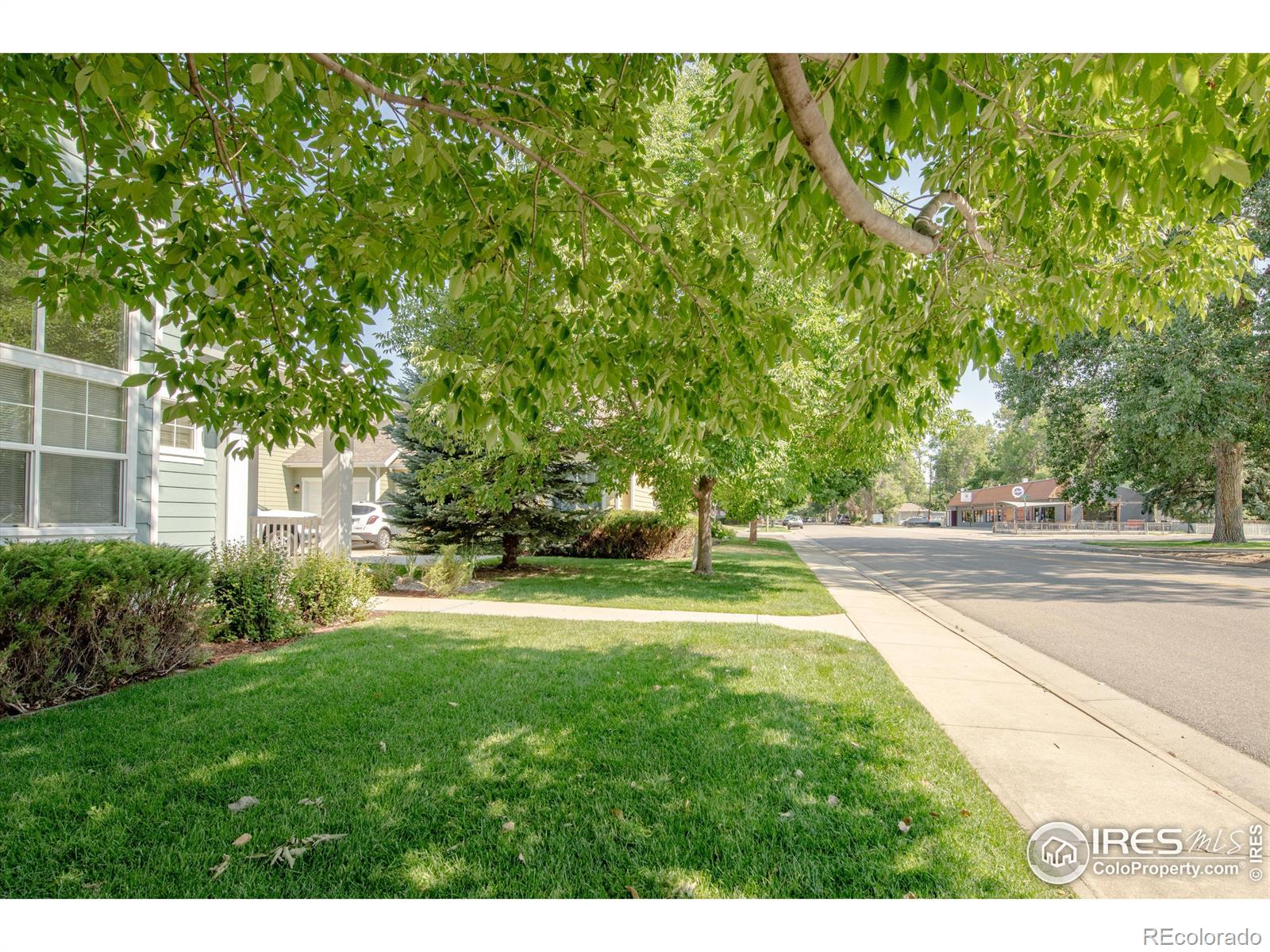 MLS Image #27 for 327  8th street,berthoud, Colorado