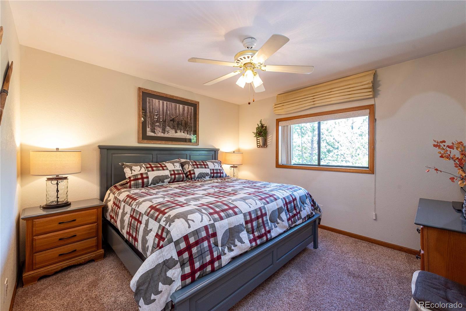 MLS Image #28 for 320  4980 ,grand lake, Colorado