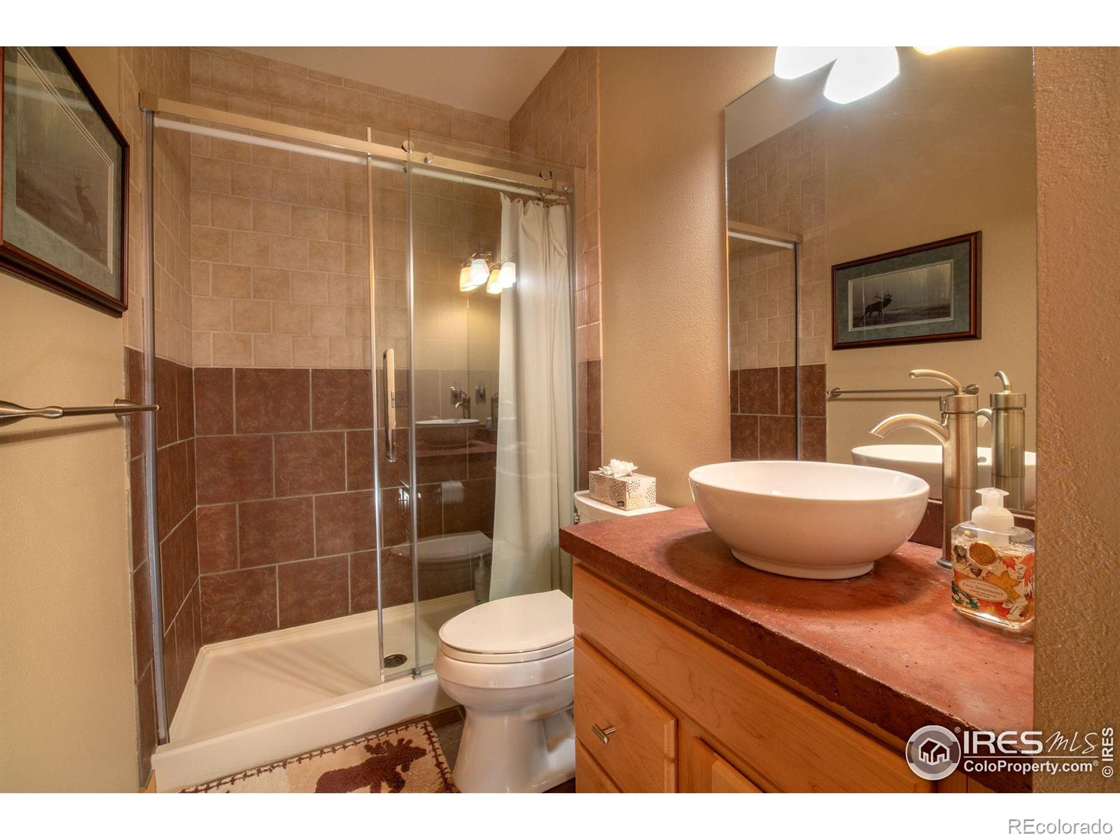 MLS Image #13 for 505  riverrock circle,estes park, Colorado