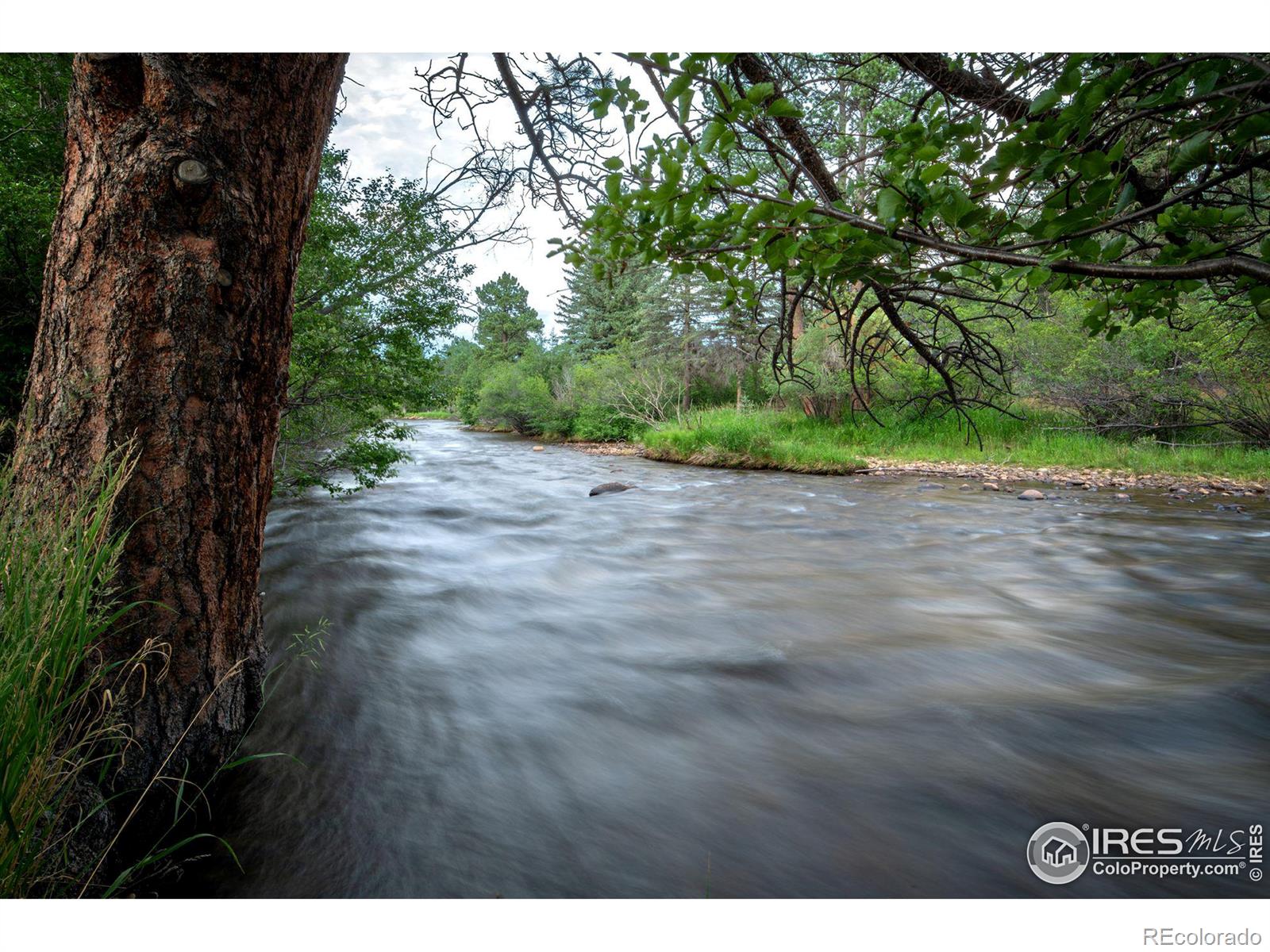 MLS Image #2 for 505  riverrock circle,estes park, Colorado