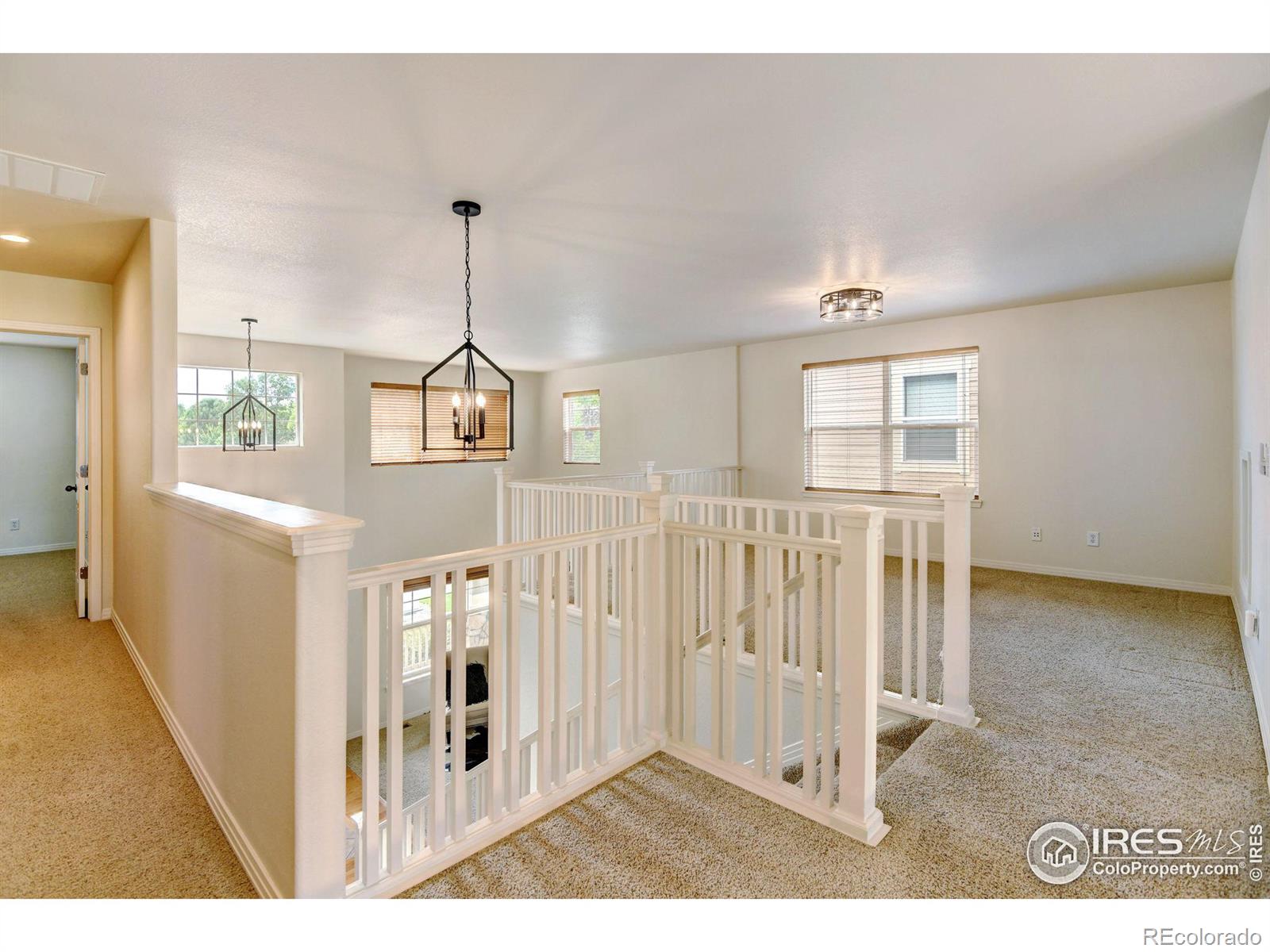 MLS Image #20 for 757  tanager circle,longmont, Colorado