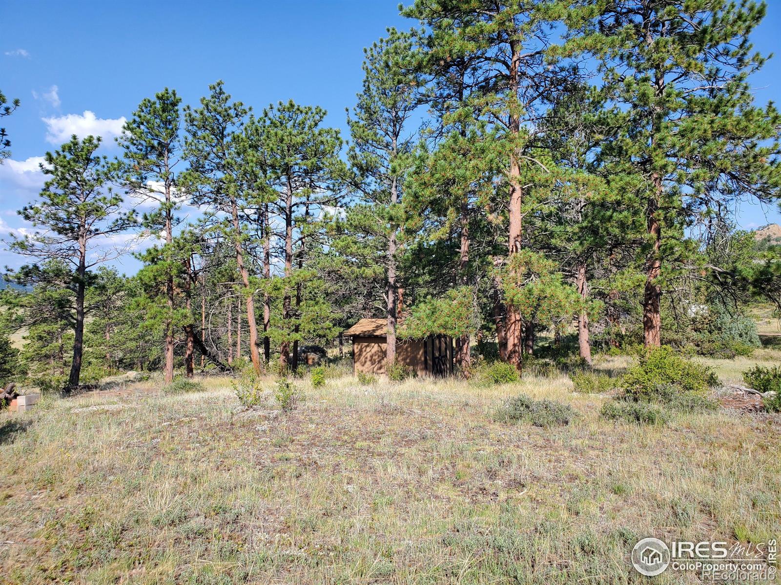 MLS Image #28 for 59  turtle rock court,livermore, Colorado