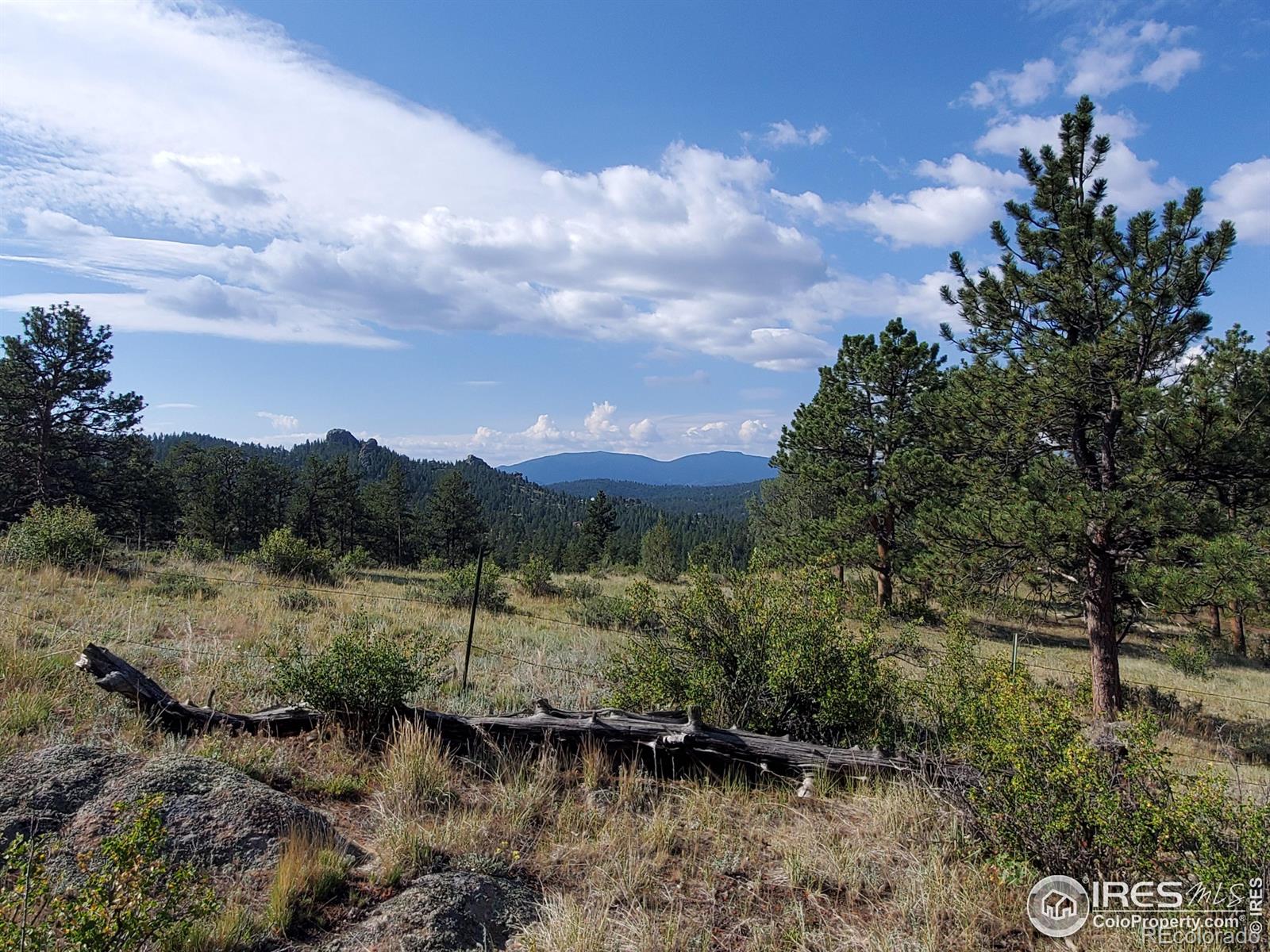 MLS Image #3 for 59  turtle rock court,livermore, Colorado