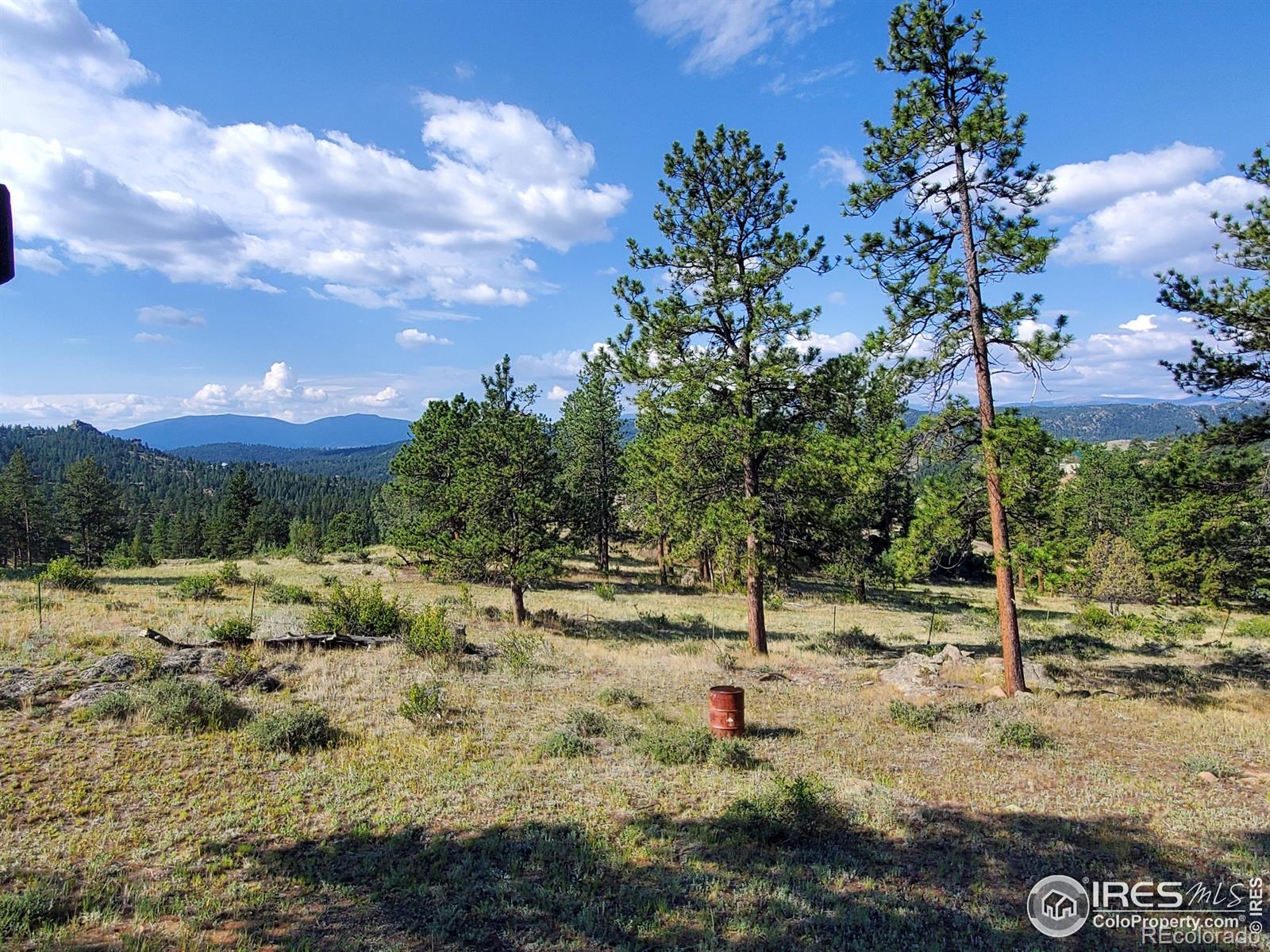 MLS Image #4 for 59  turtle rock court,livermore, Colorado