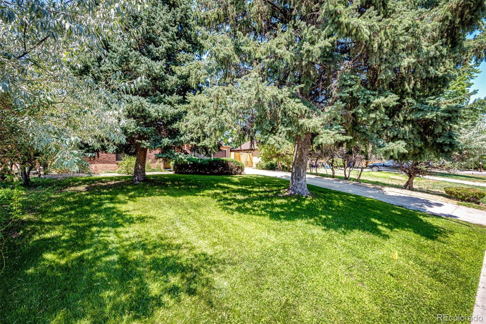 MLS Image #20 for 2435  poplar street,denver, Colorado