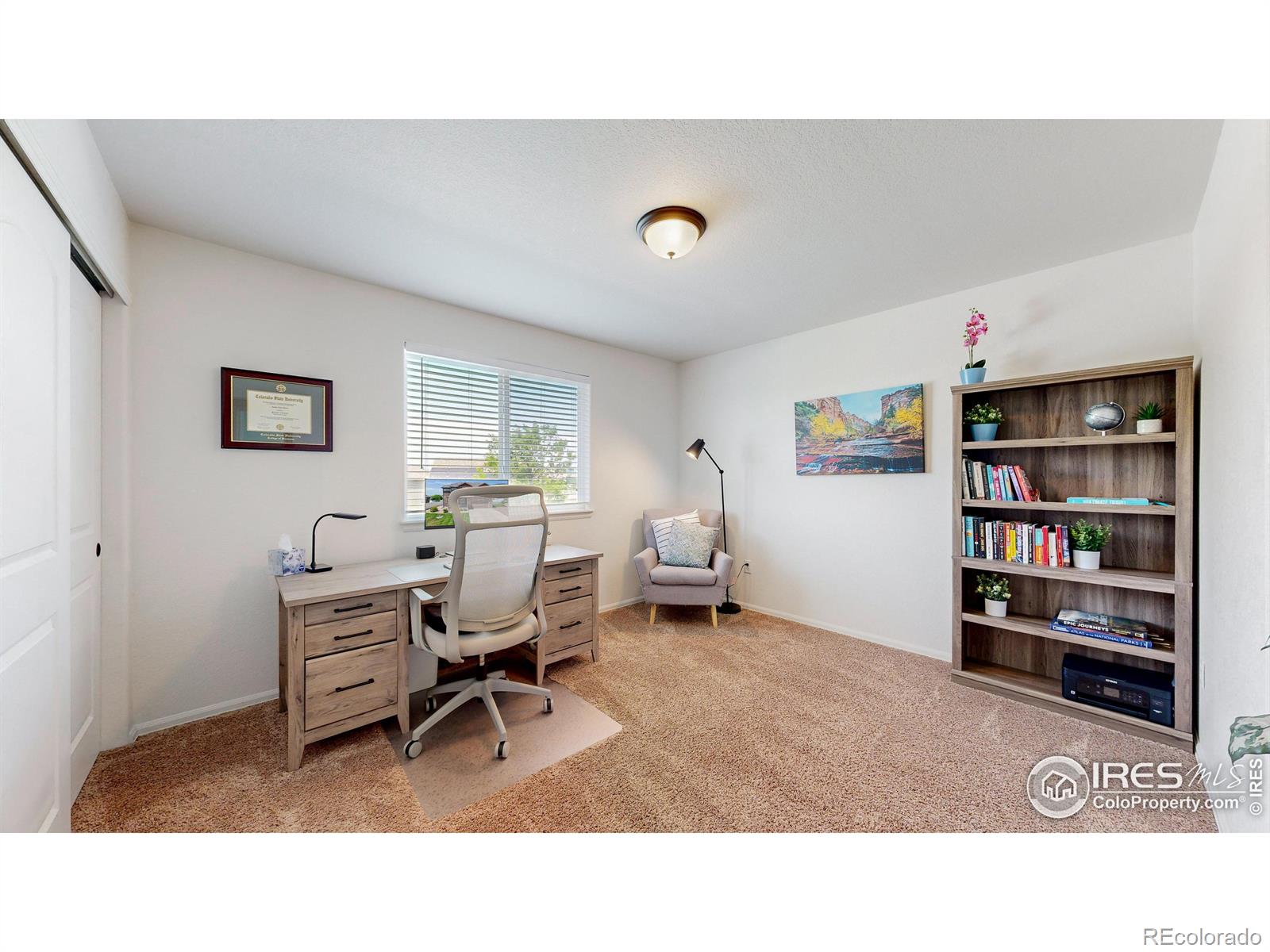 MLS Image #18 for 392  shadowbrook drive,windsor, Colorado