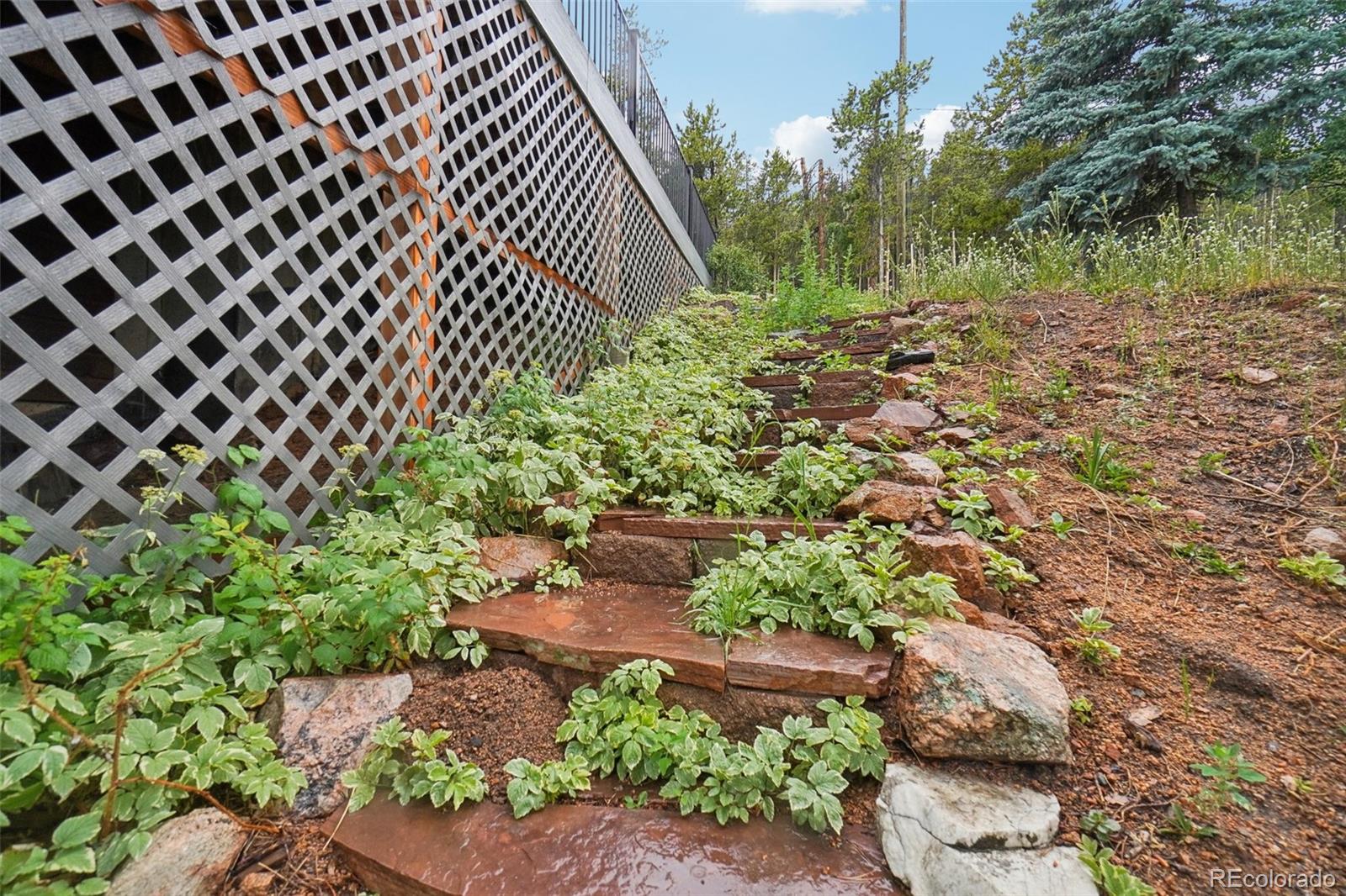 MLS Image #11 for 6763  deer path,evergreen, Colorado