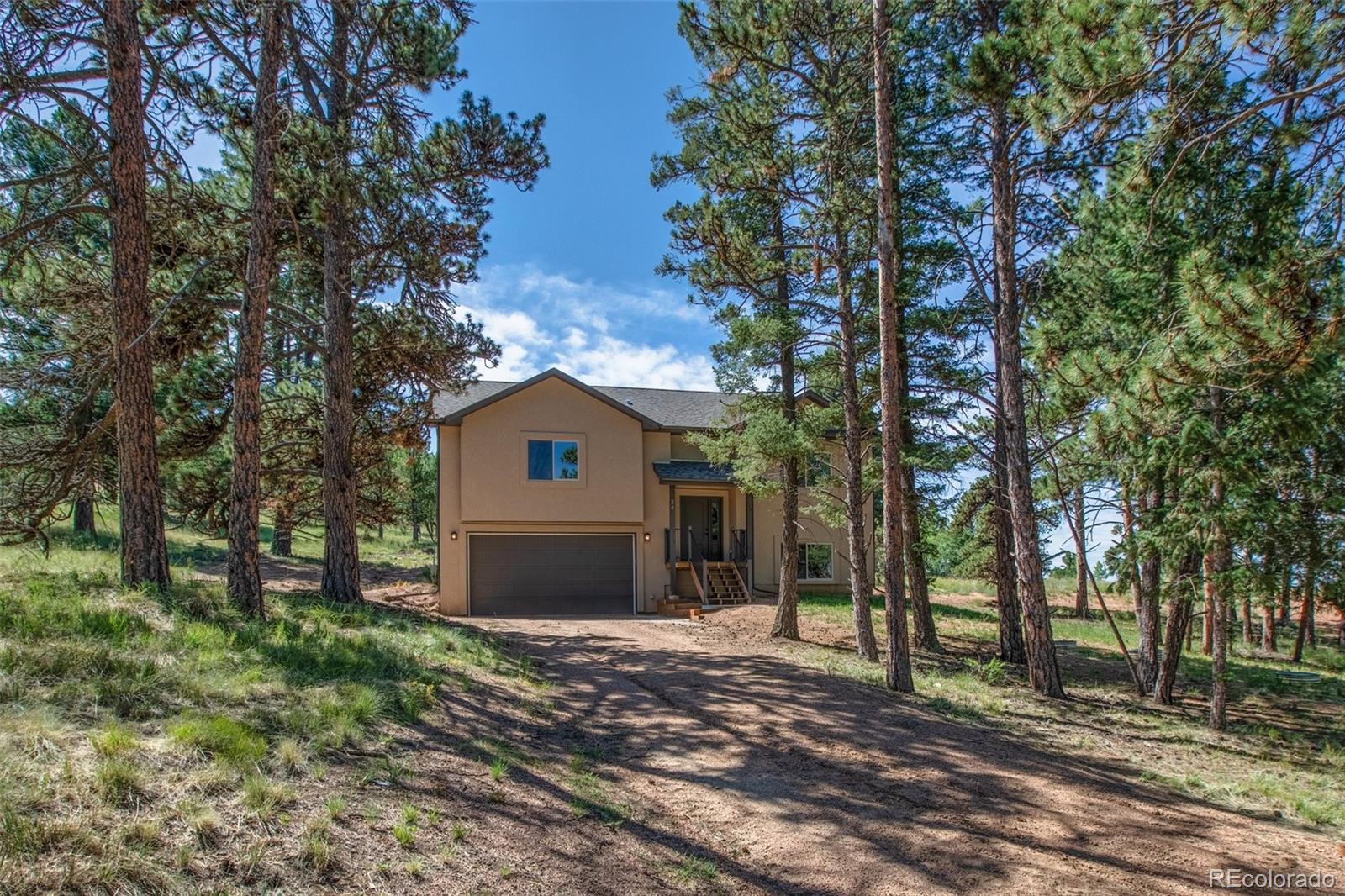 MLS Image #0 for 24  bighorn circle,florissant, Colorado