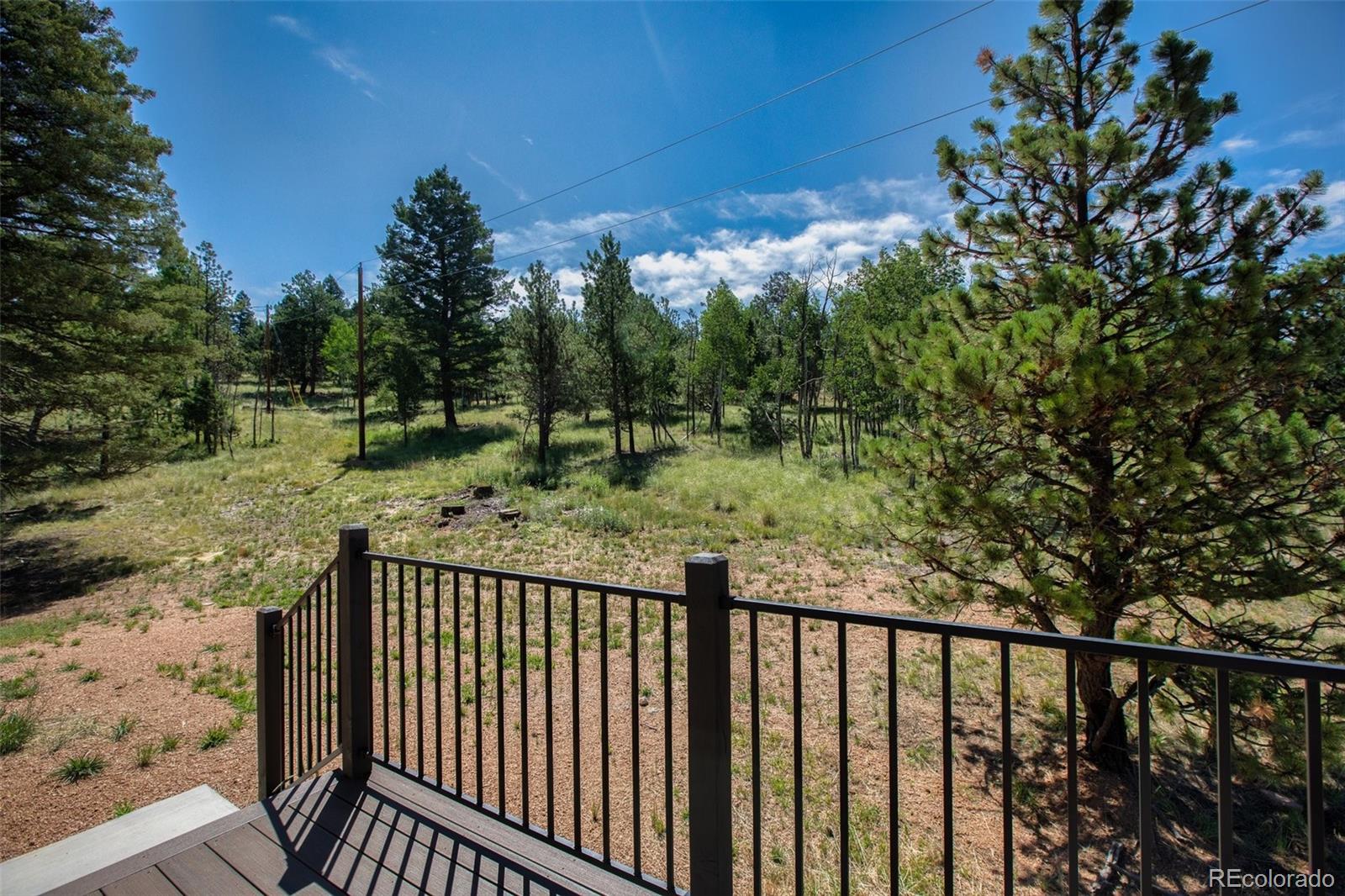 MLS Image #26 for 24  bighorn circle,florissant, Colorado