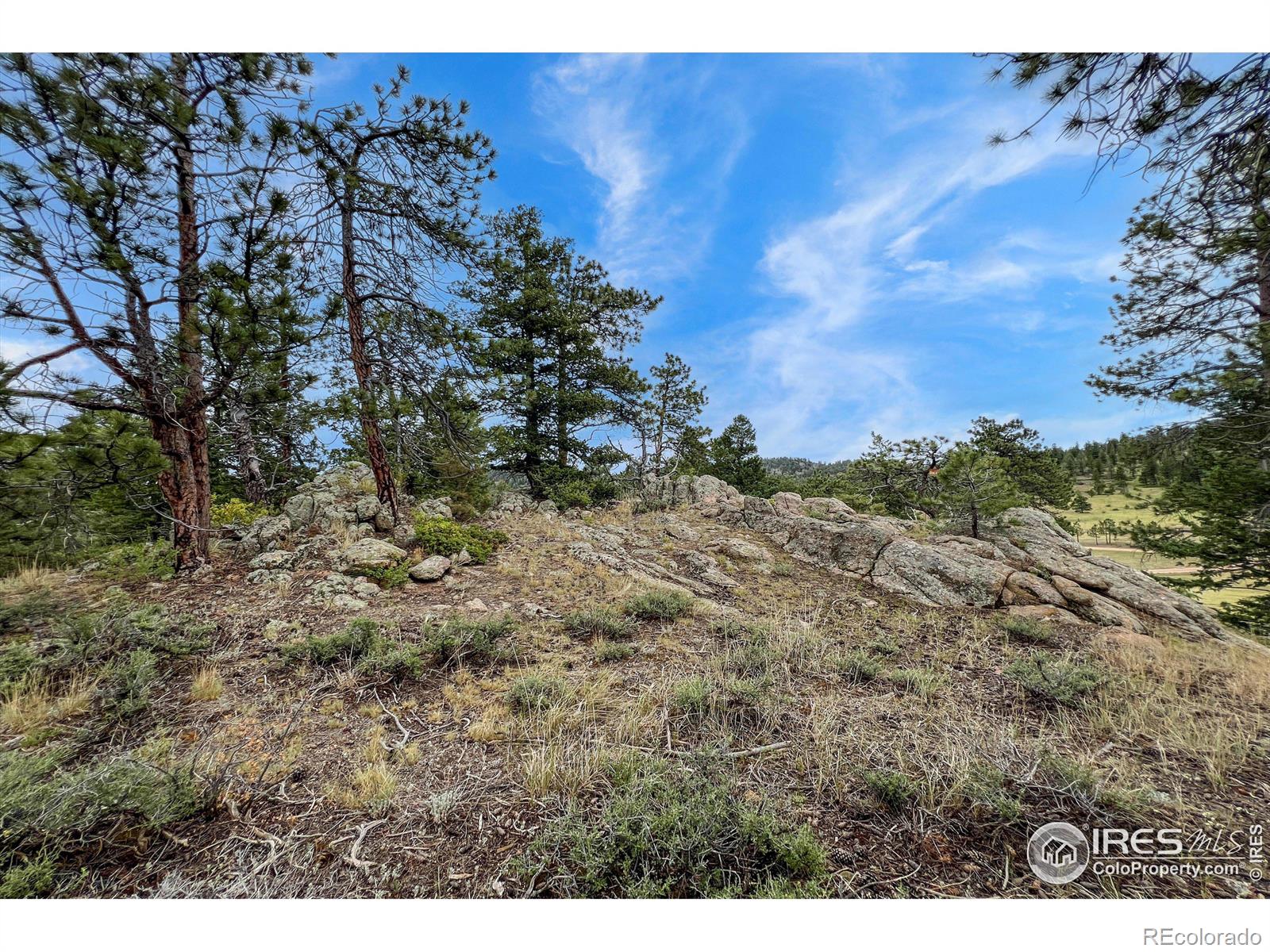 MLS Image #10 for 555  springmeadow way,red feather lakes, Colorado