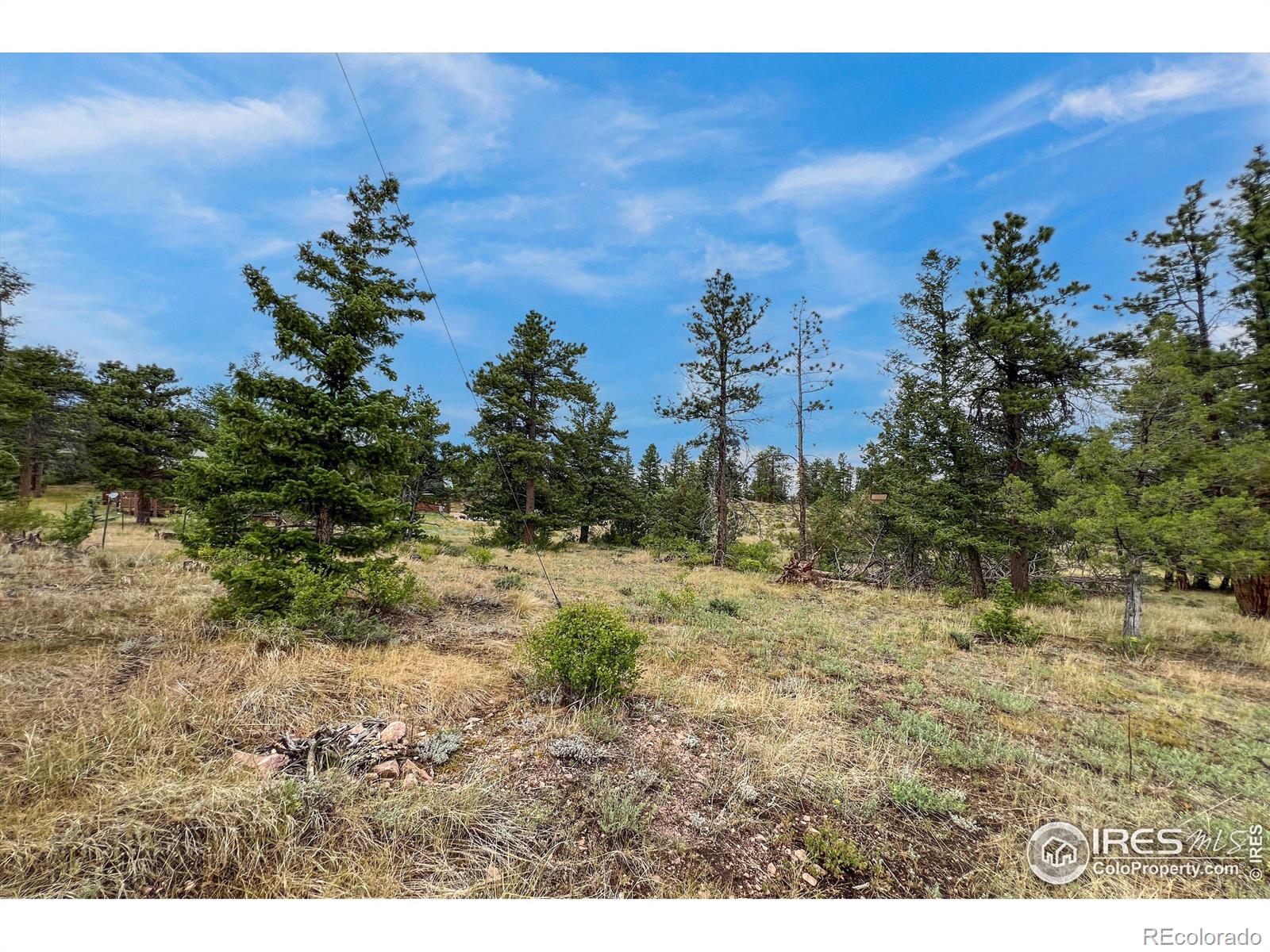 MLS Image #13 for 555  springmeadow way,red feather lakes, Colorado