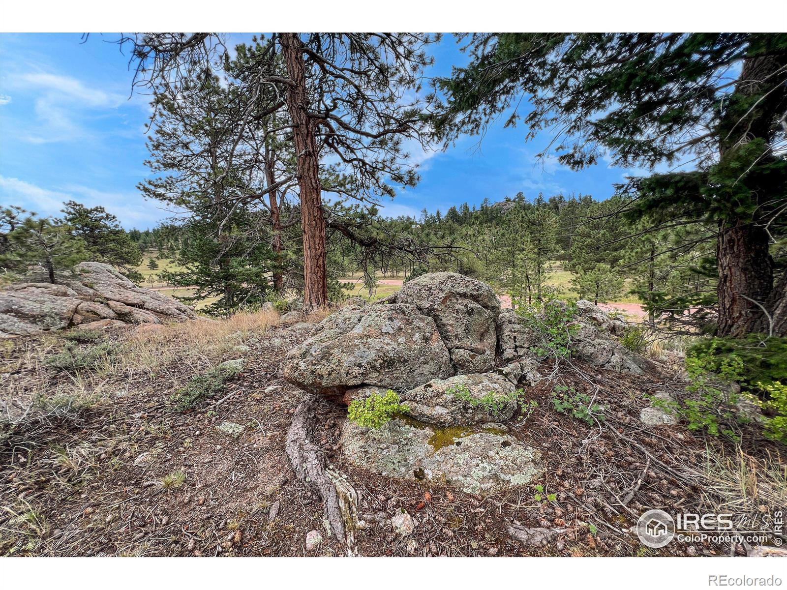 MLS Image #14 for 555  springmeadow way,red feather lakes, Colorado