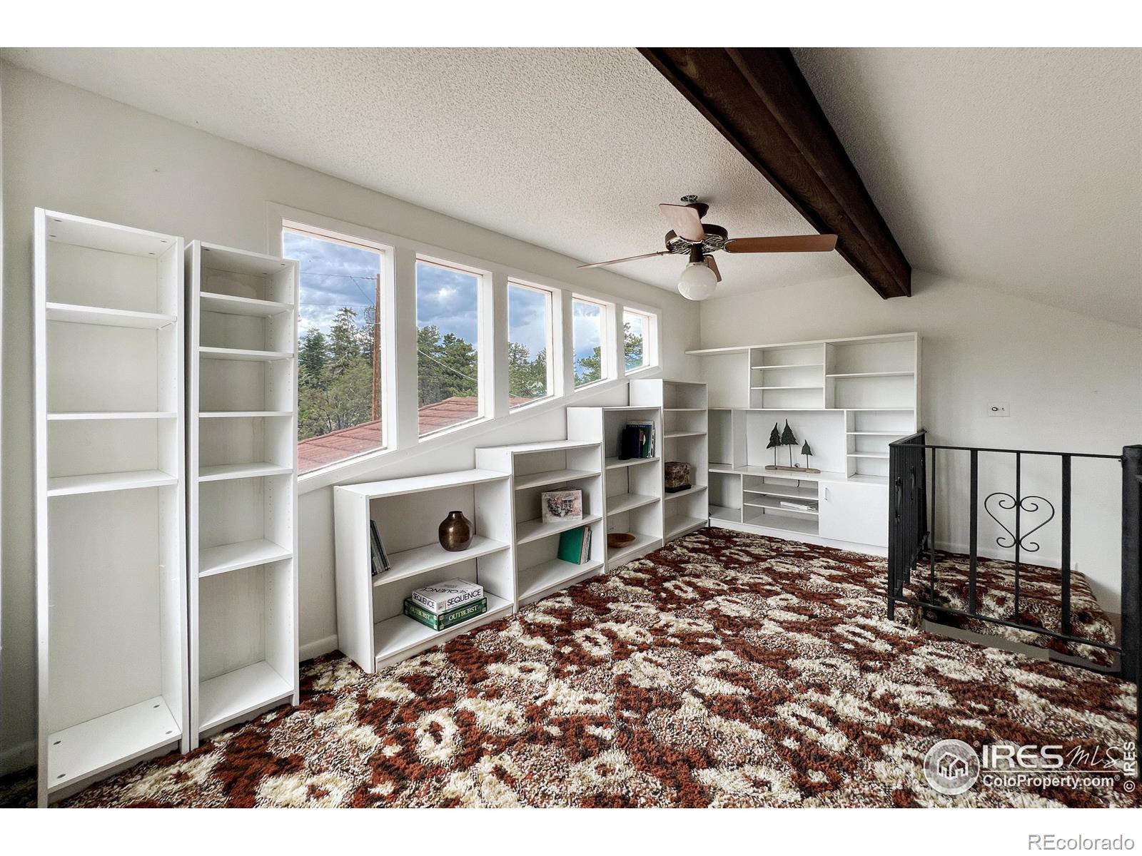 MLS Image #8 for 555  springmeadow way,red feather lakes, Colorado