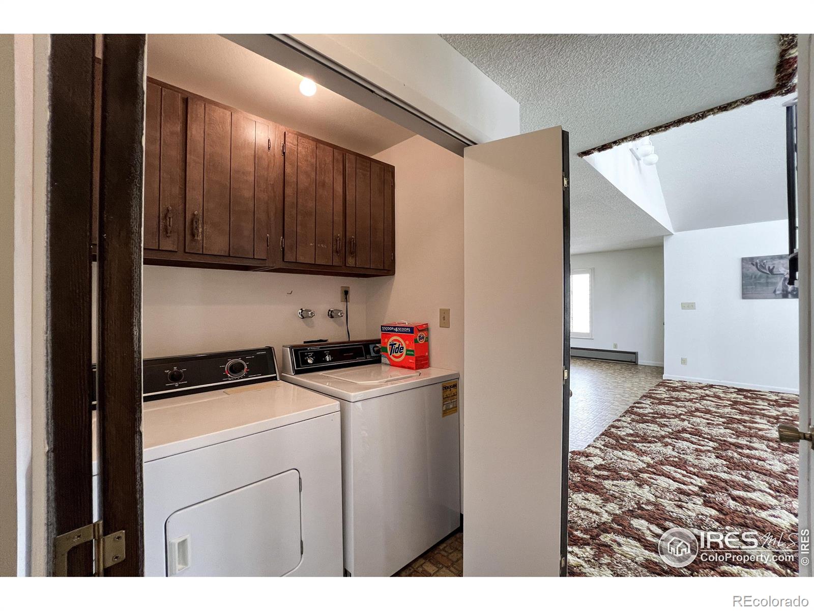 MLS Image #9 for 555  springmeadow way,red feather lakes, Colorado
