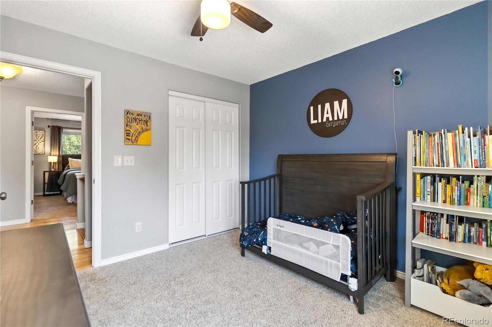 MLS Image #20 for 17601  hoyt place,parker, Colorado