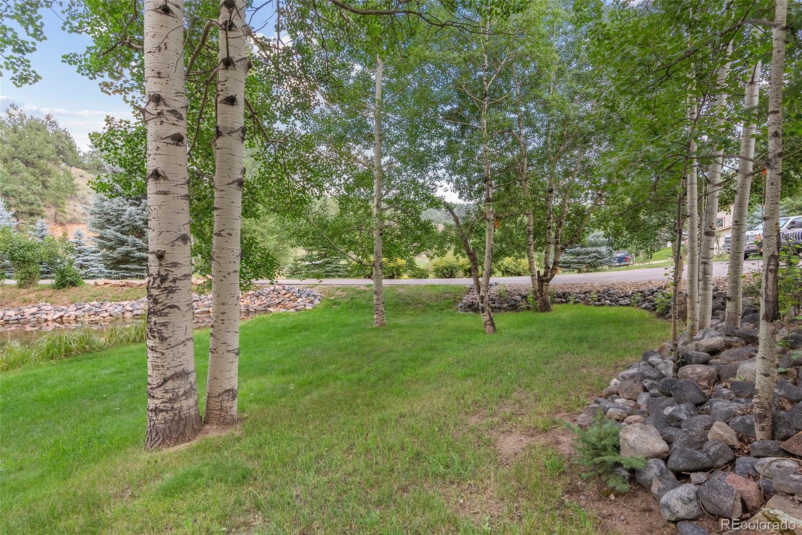 MLS Image #11 for 208  brookside drive,bailey, Colorado