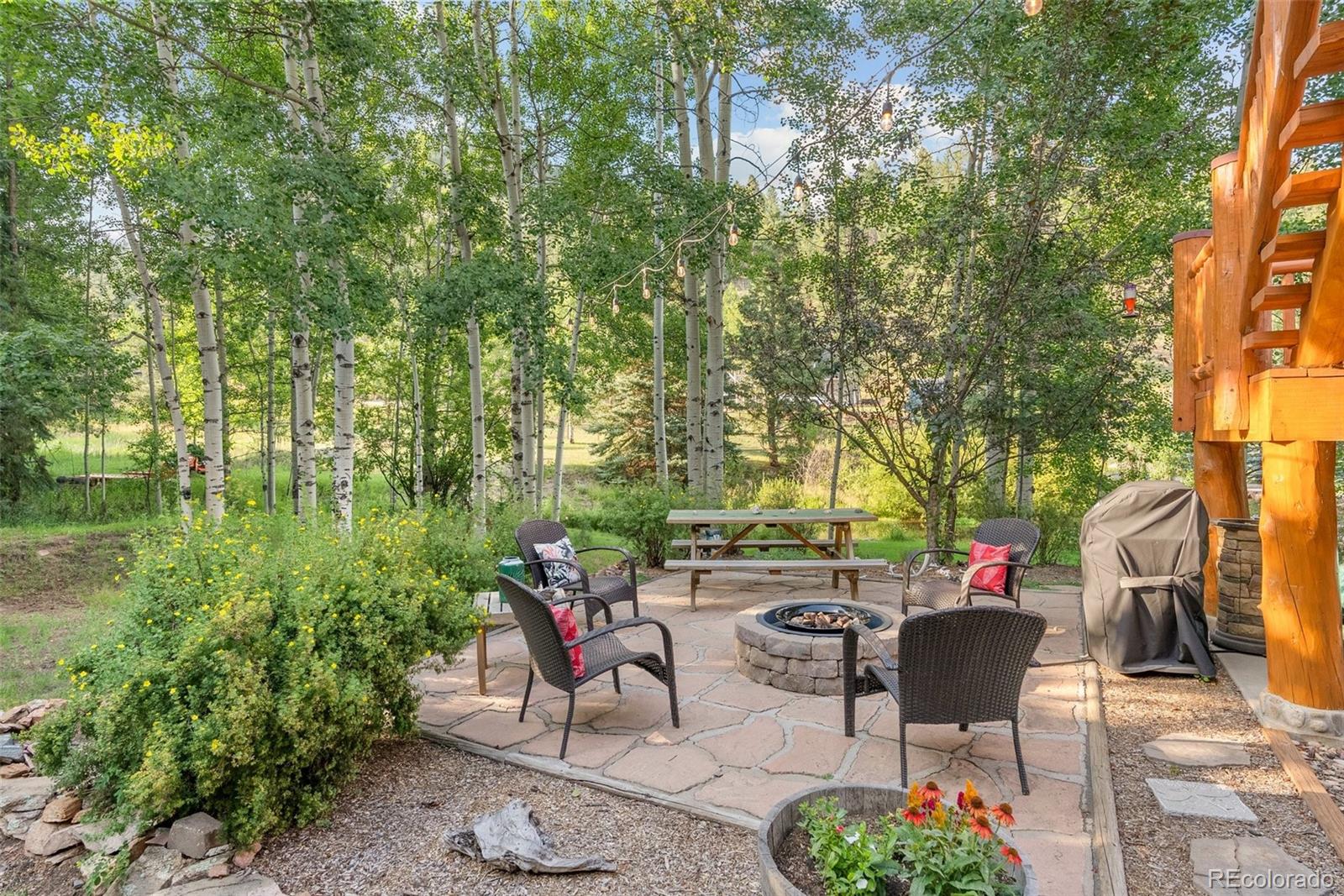 MLS Image #13 for 208  brookside drive,bailey, Colorado