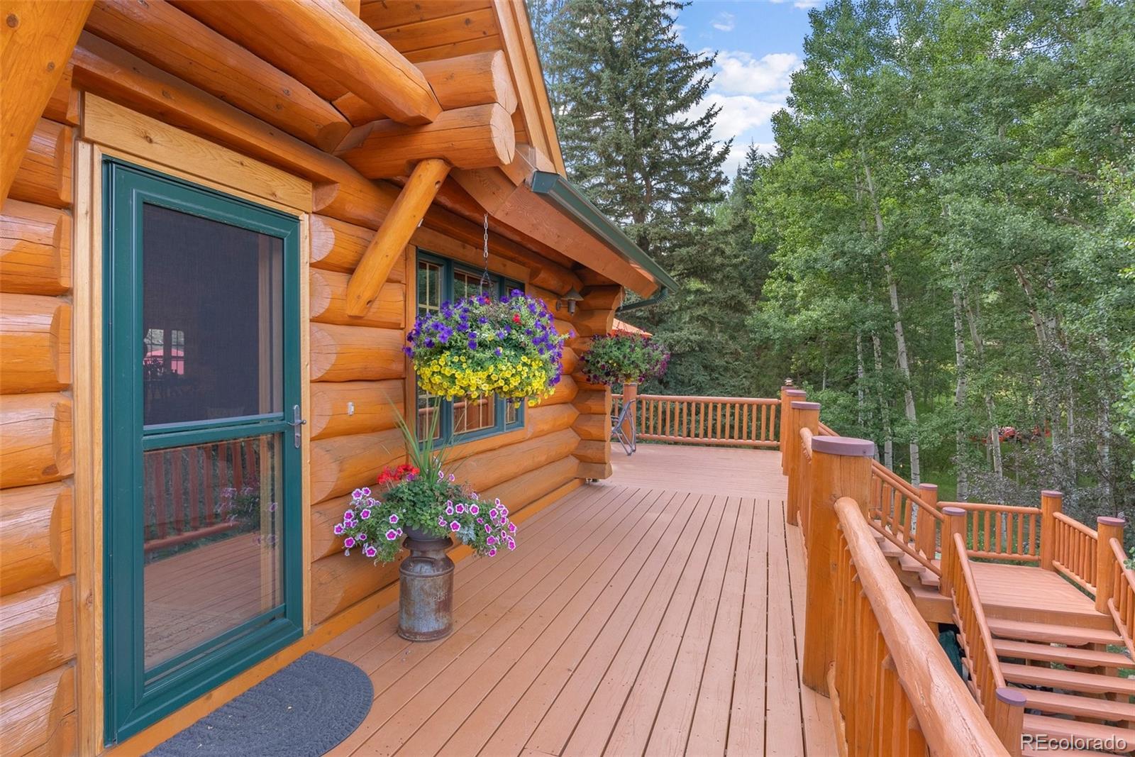 MLS Image #18 for 208  brookside drive,bailey, Colorado