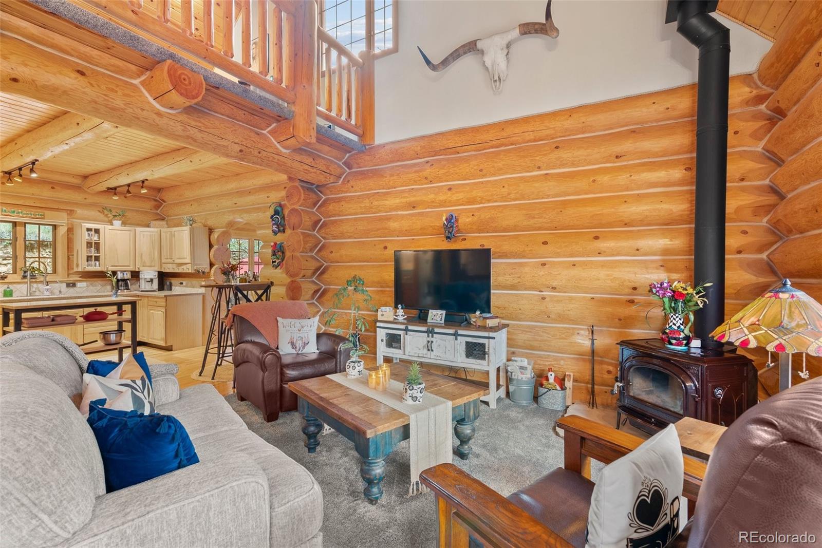 MLS Image #19 for 208  brookside drive,bailey, Colorado