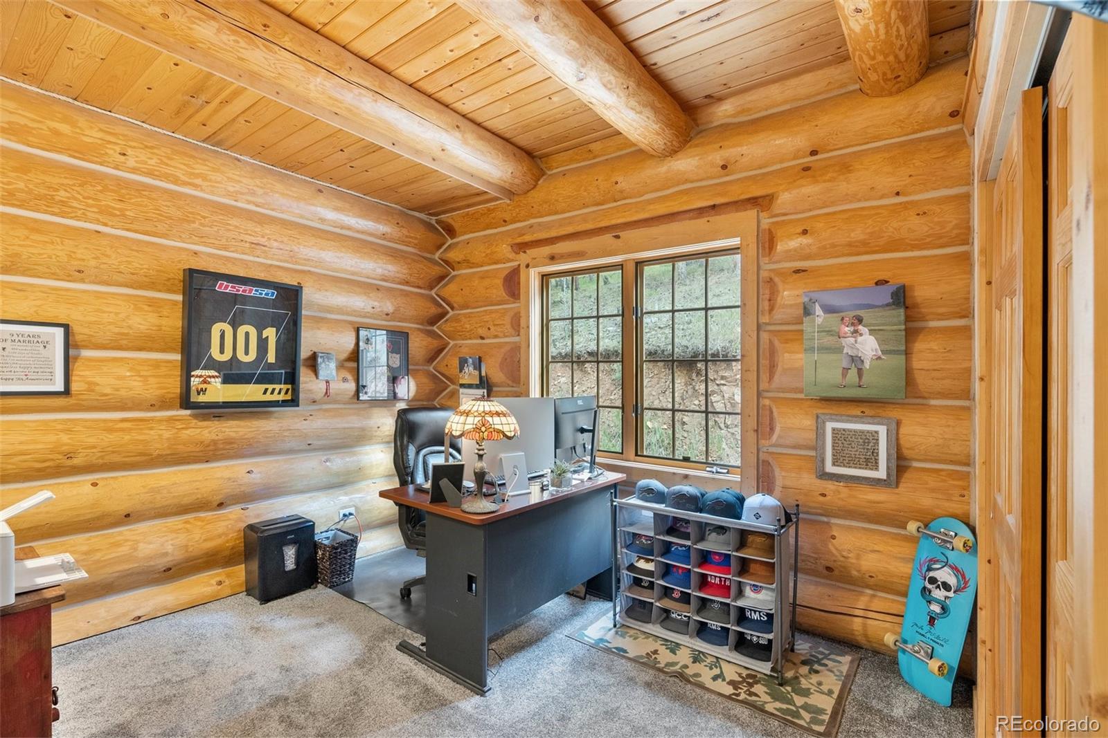 MLS Image #33 for 208  brookside drive,bailey, Colorado