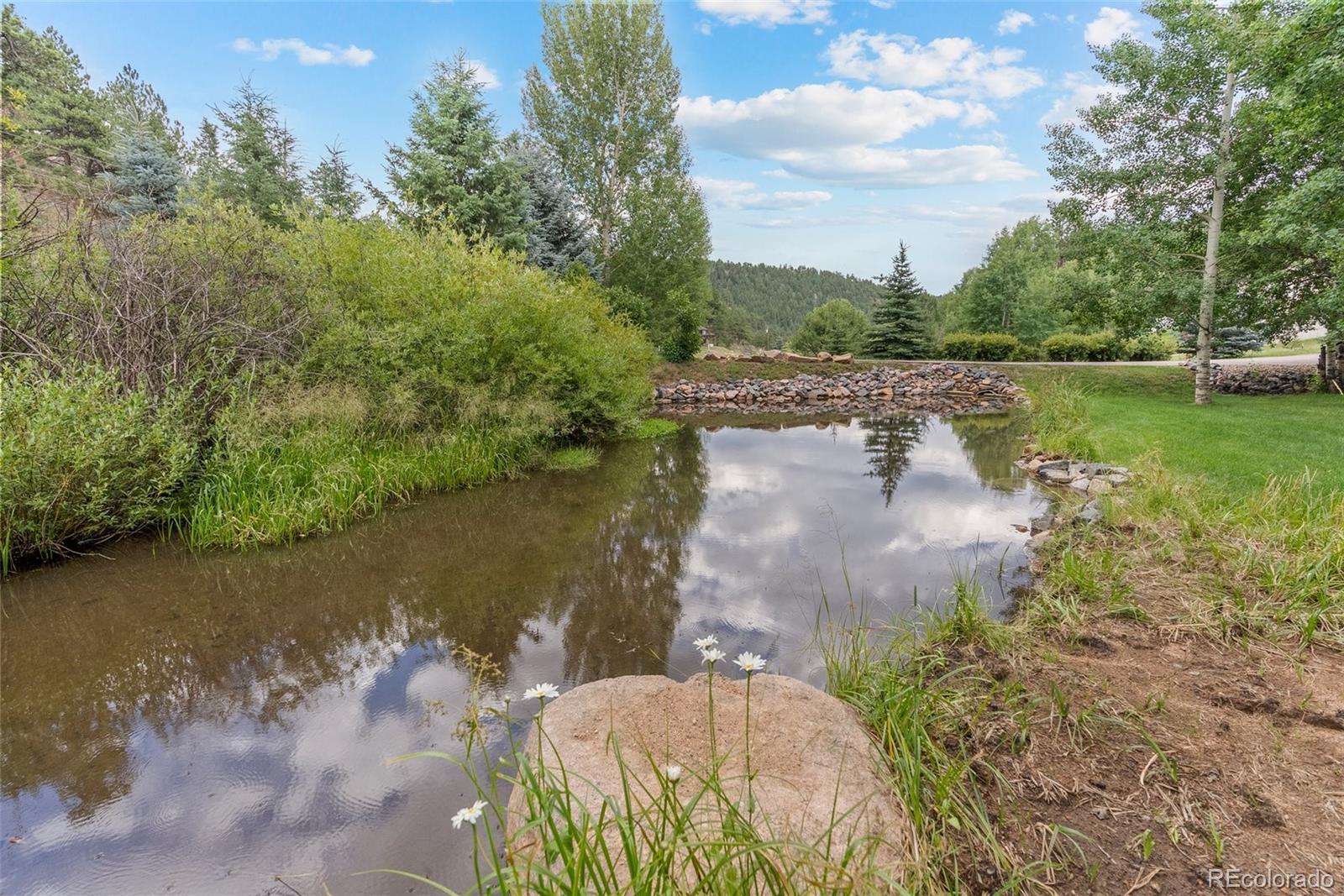 MLS Image #44 for 208  brookside drive,bailey, Colorado