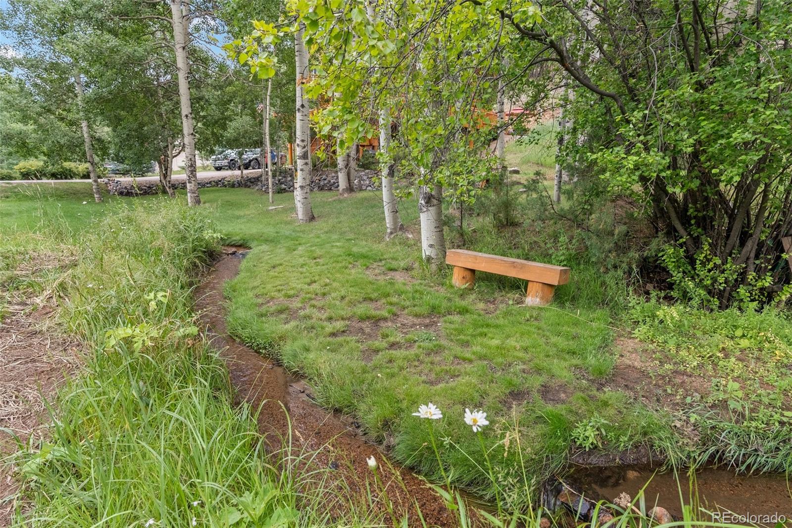 MLS Image #45 for 208  brookside drive,bailey, Colorado