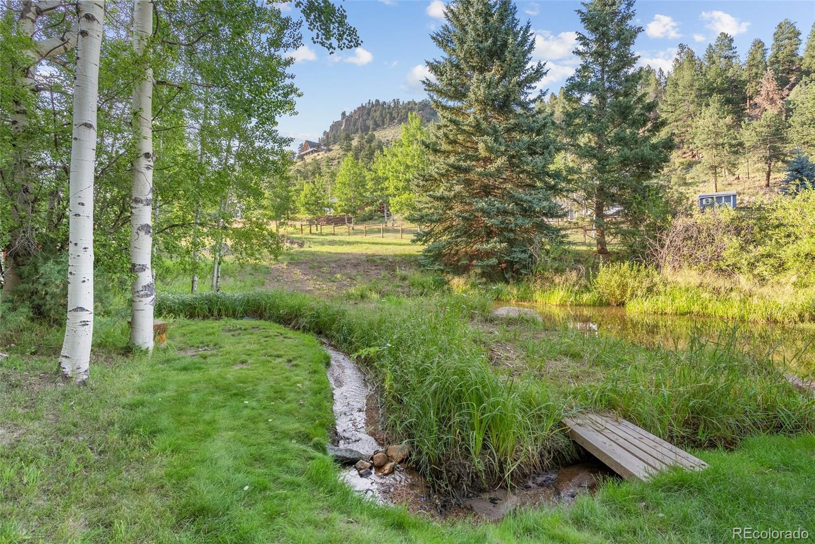 MLS Image #46 for 208  brookside drive,bailey, Colorado