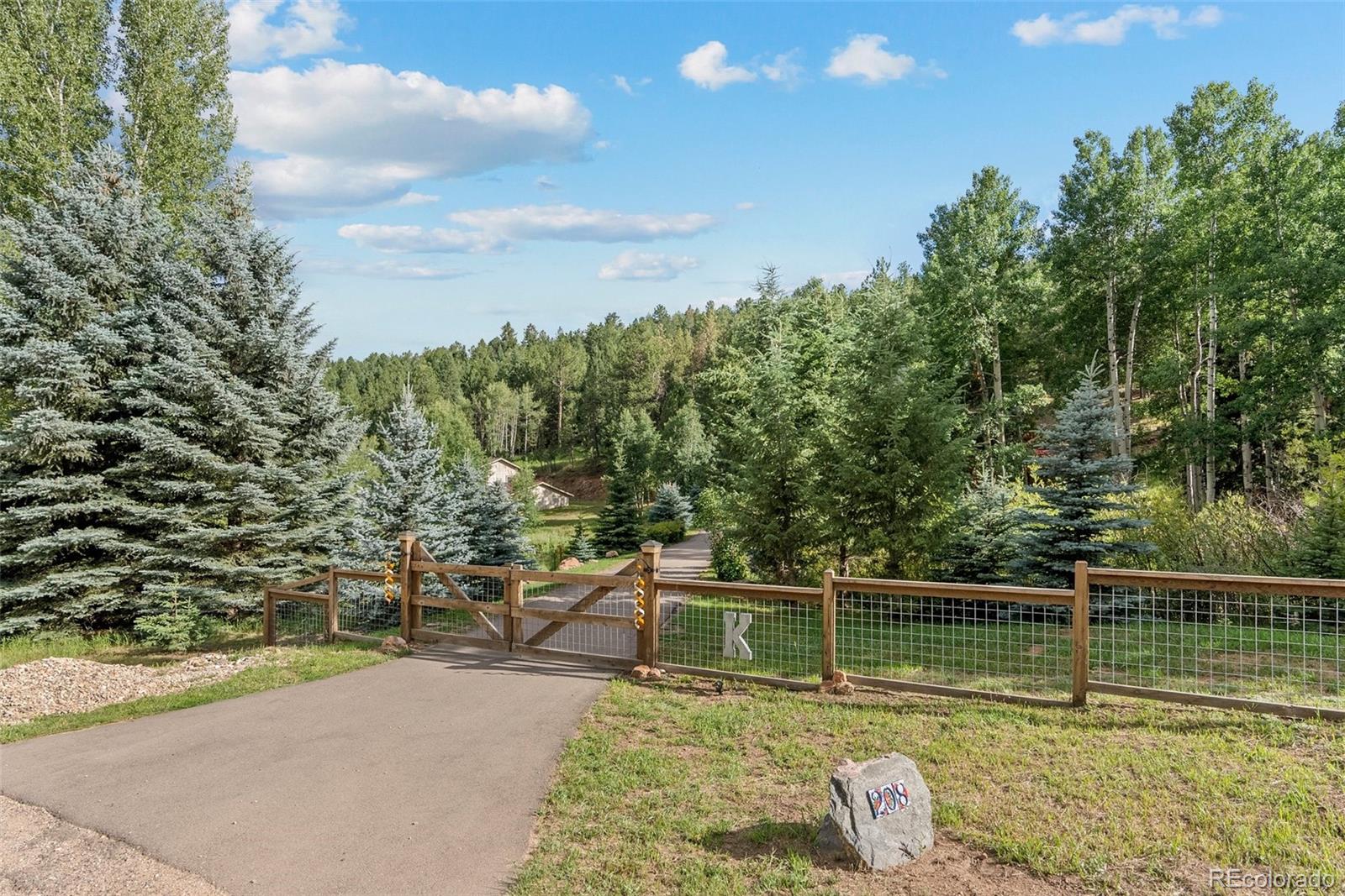 MLS Image #8 for 208  brookside drive,bailey, Colorado