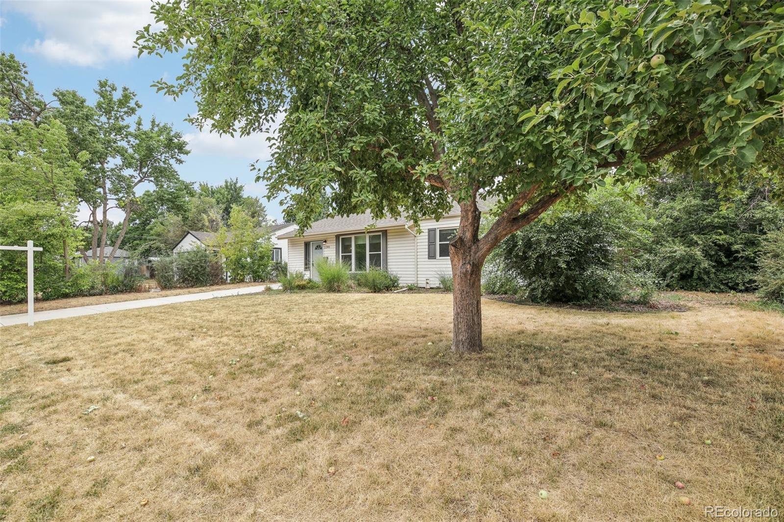 MLS Image #5 for 1285 s glencoe street,denver, Colorado