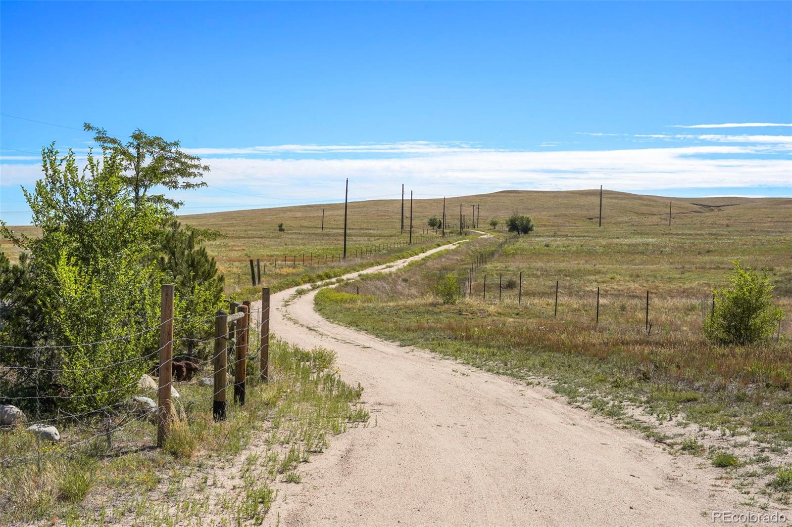 MLS Image #15 for 18620  oil well road,ramah, Colorado