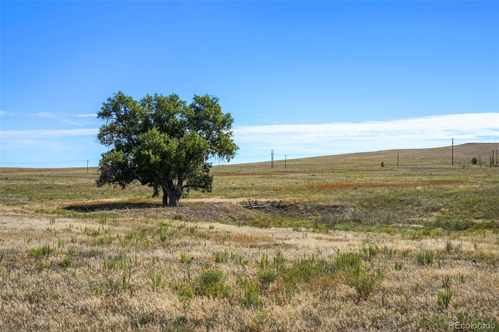 MLS Image #22 for 18620  oil well road,ramah, Colorado