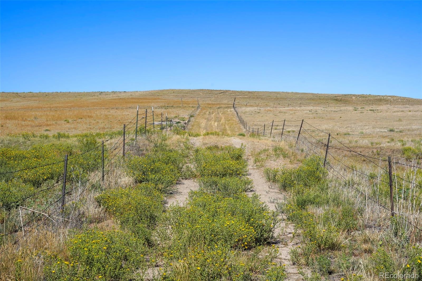 MLS Image #24 for 18620  oil well road,ramah, Colorado