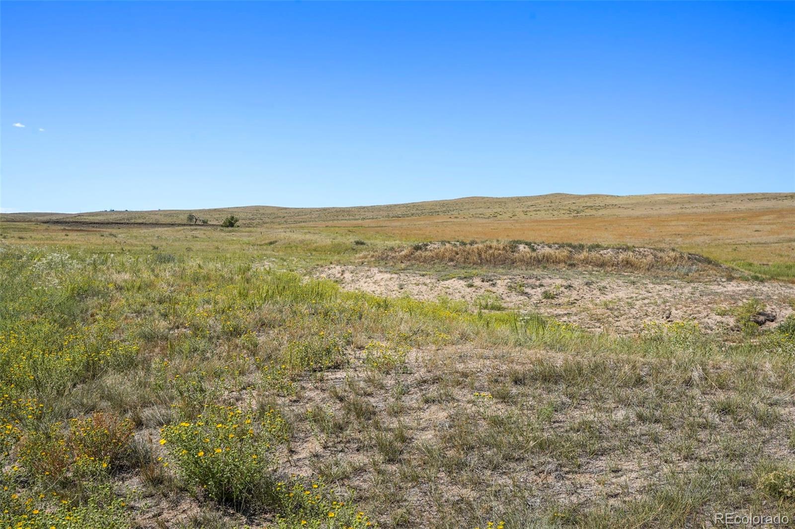 MLS Image #26 for 18620  oil well road,ramah, Colorado