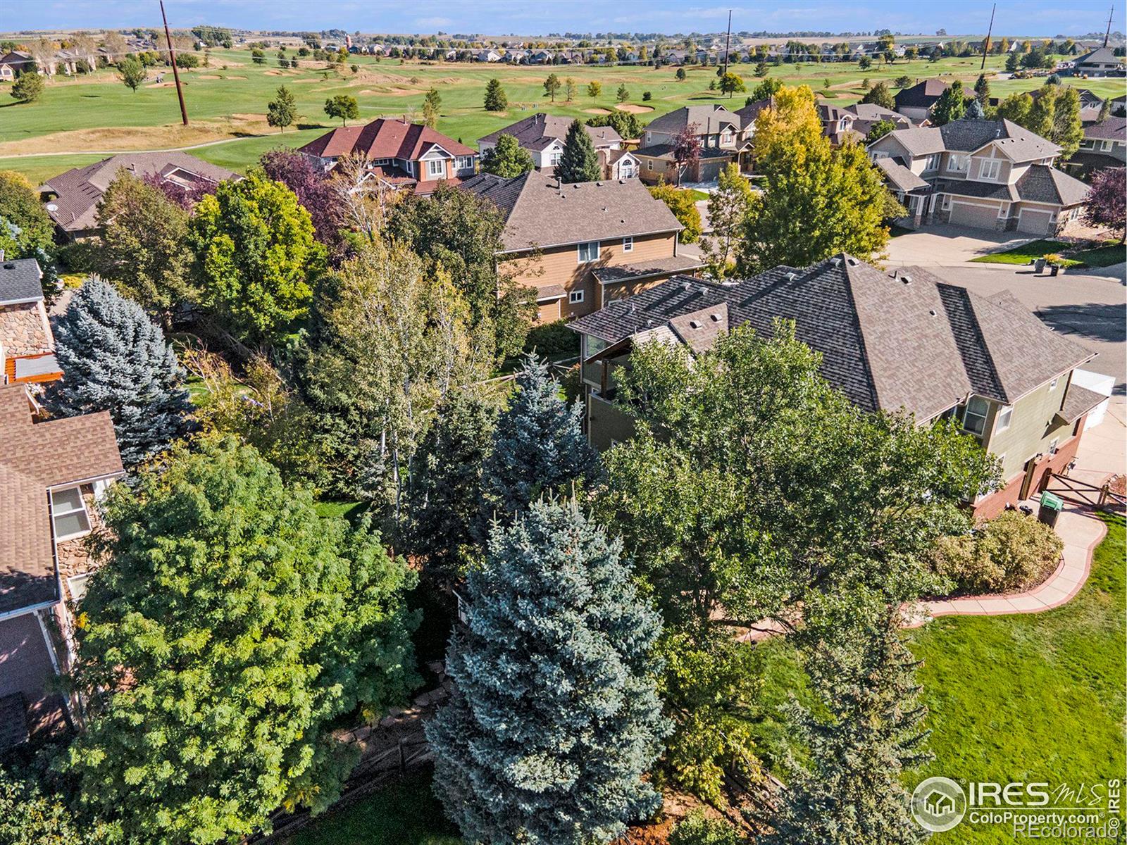 MLS Image #26 for 2007  prestwick court,longmont, Colorado