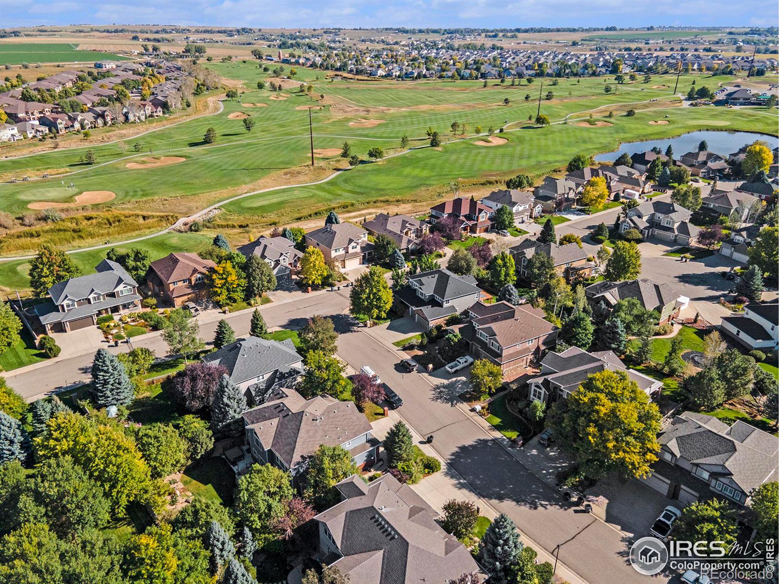 MLS Image #29 for 2007  prestwick court,longmont, Colorado