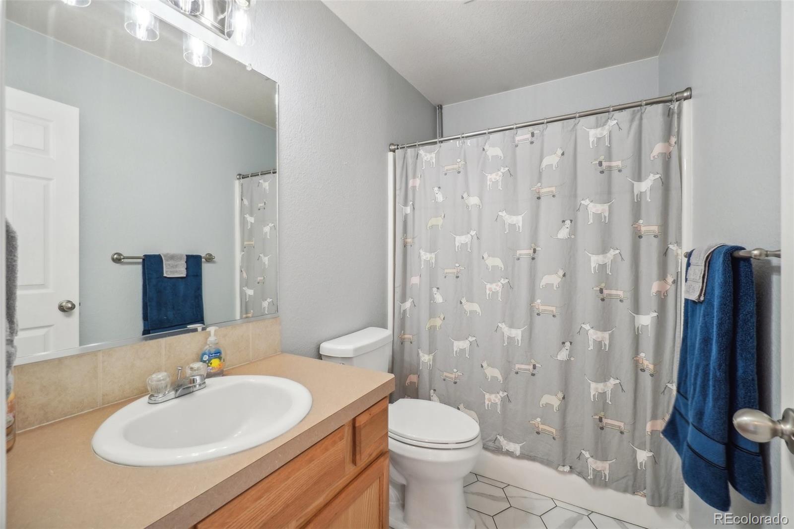 MLS Image #19 for 4304  paintbrush drive,evans, Colorado