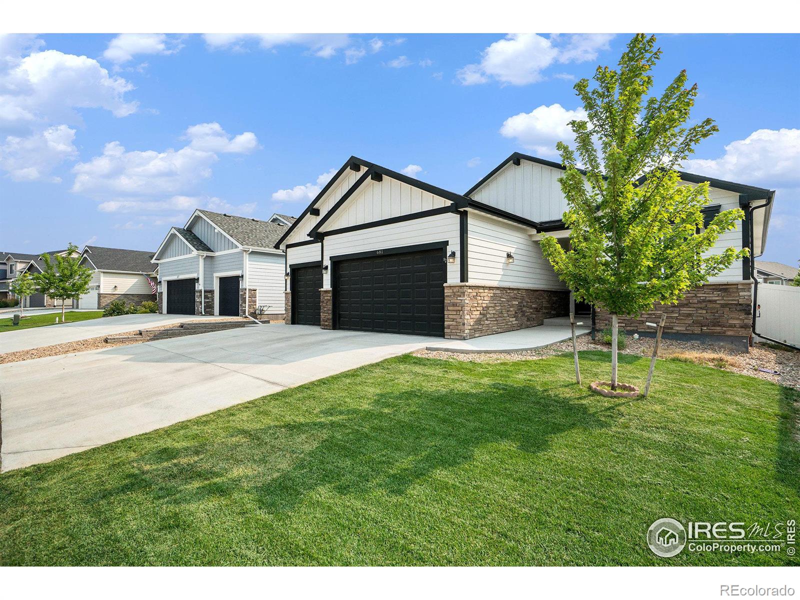 MLS Image #3 for 681  boxwood drive,windsor, Colorado