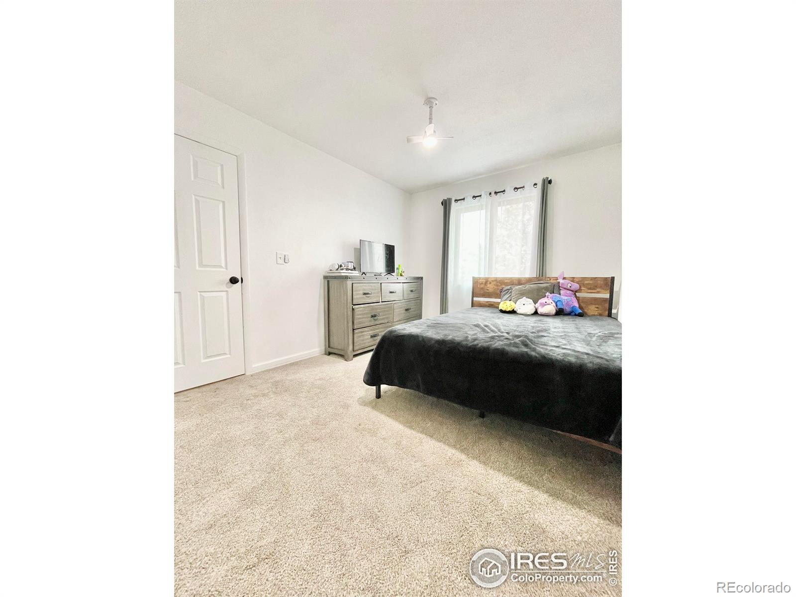 MLS Image #12 for 205 e shafer avenue,pierce, Colorado