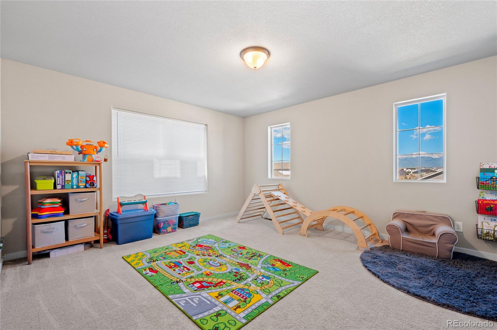 MLS Image #21 for 2587  tempest drive,colorado springs, Colorado